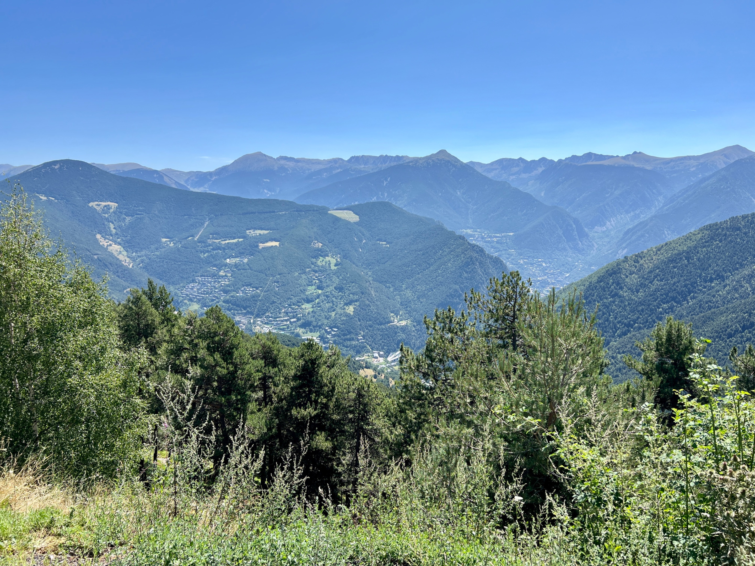IMG_7082.JPG