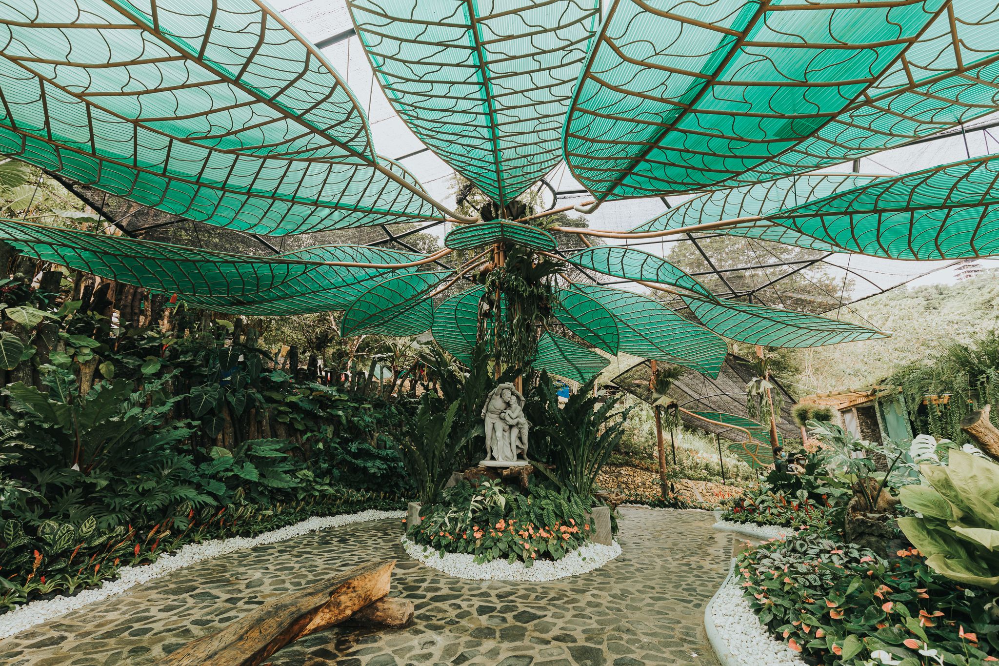_79A8795.jpg