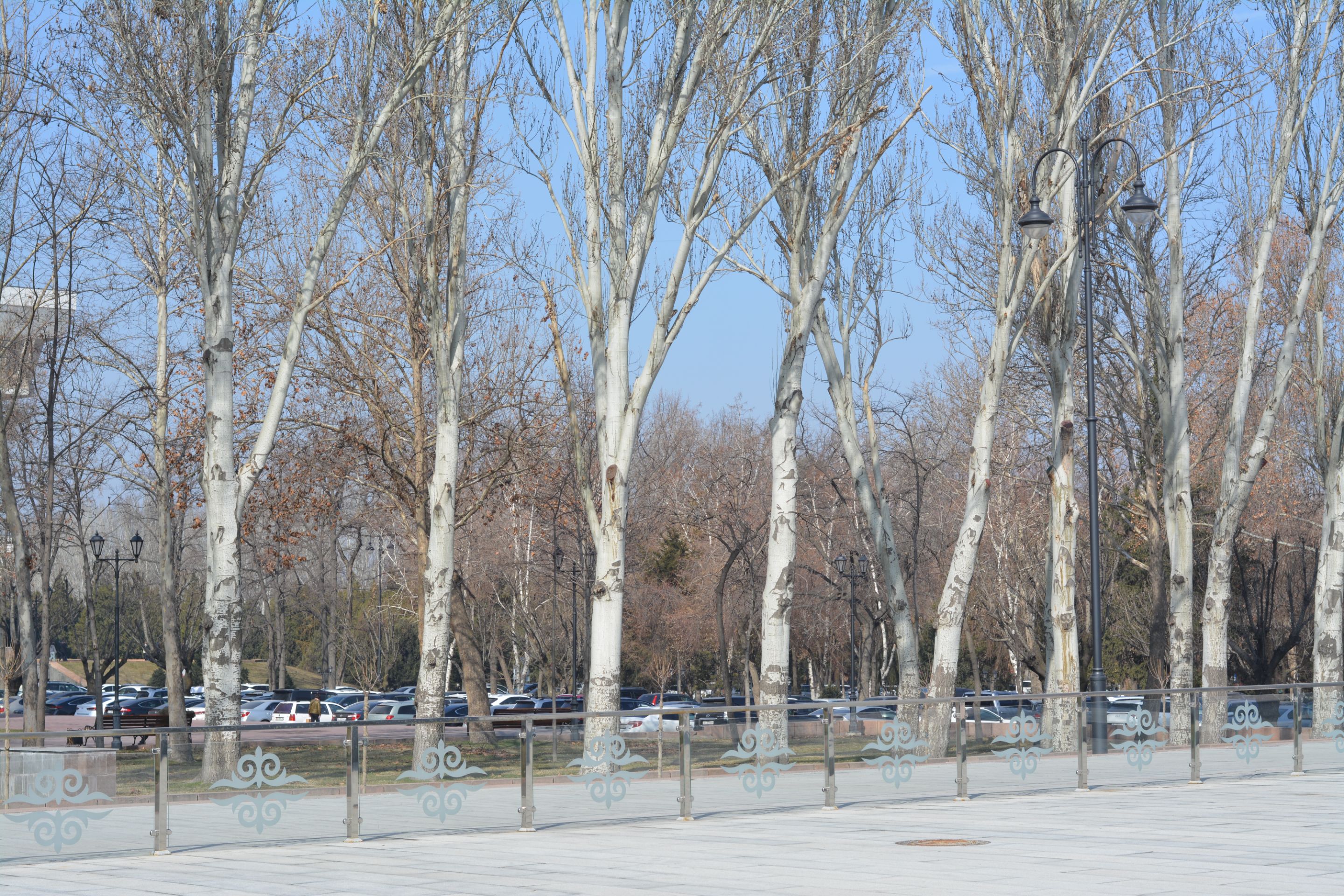 DSC_0855.JPG