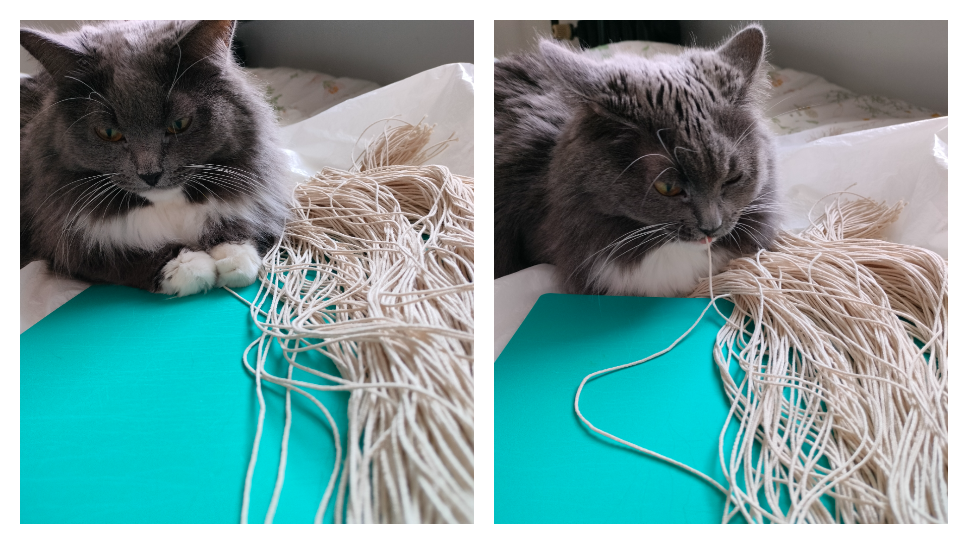 Freja.png