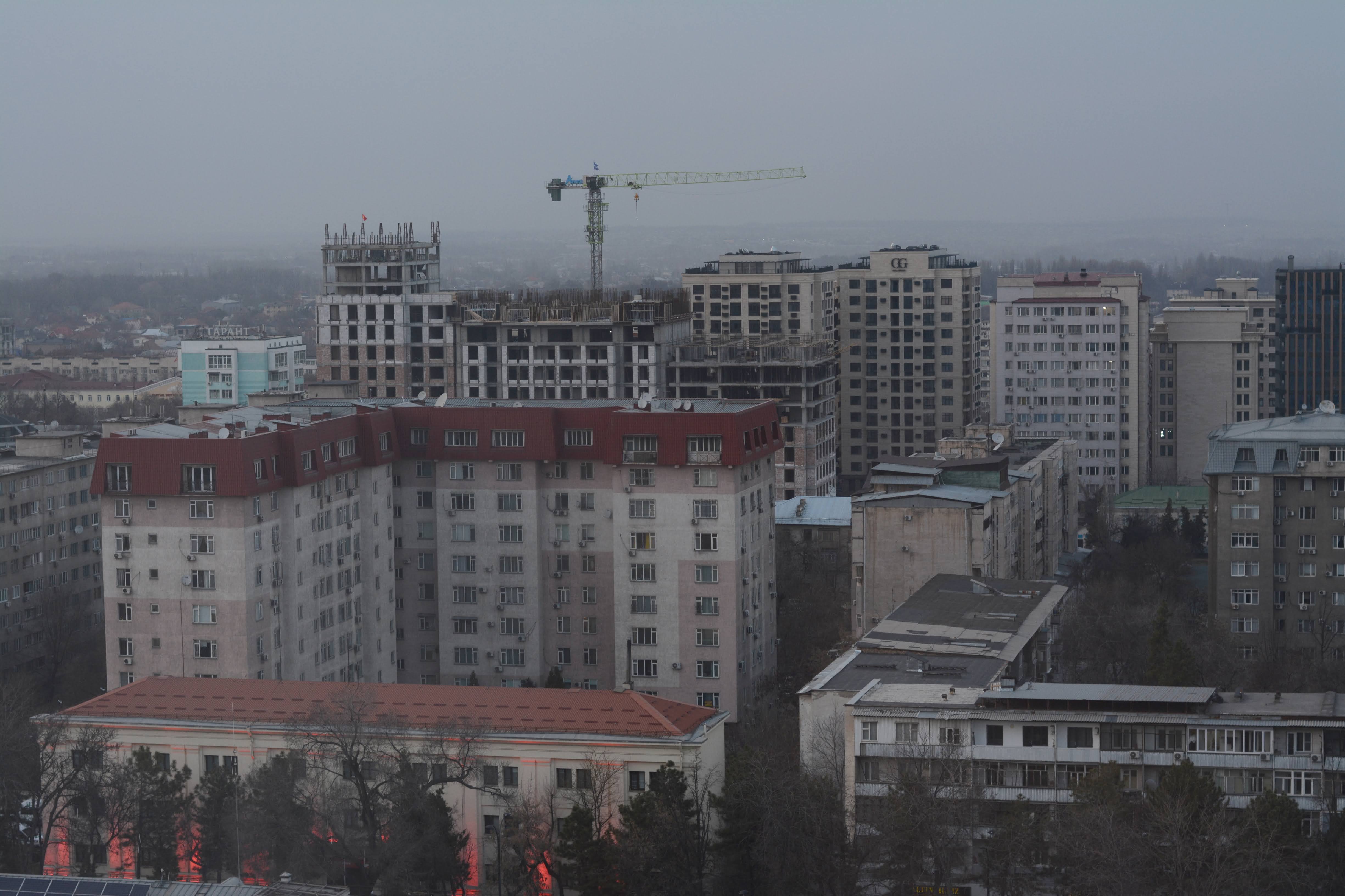 DSC_0803.JPG