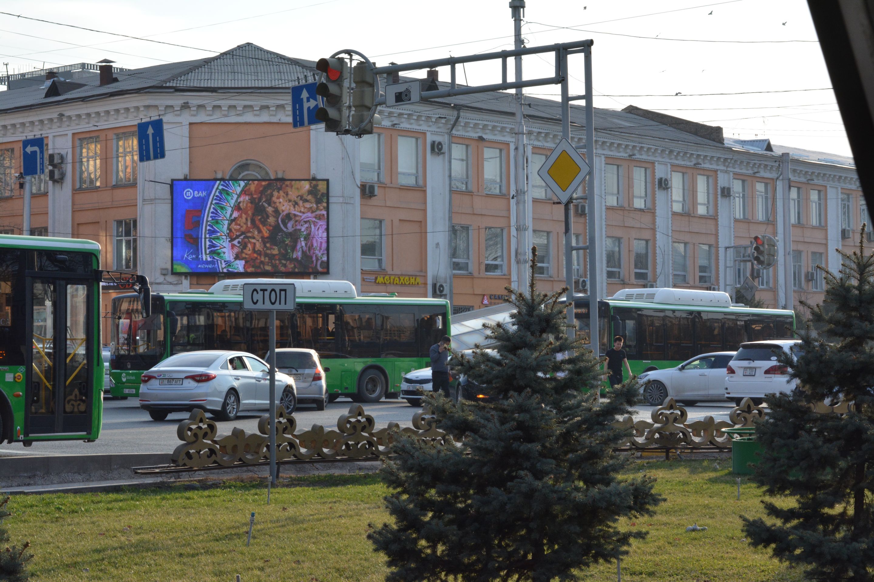 DSC_0917.JPG