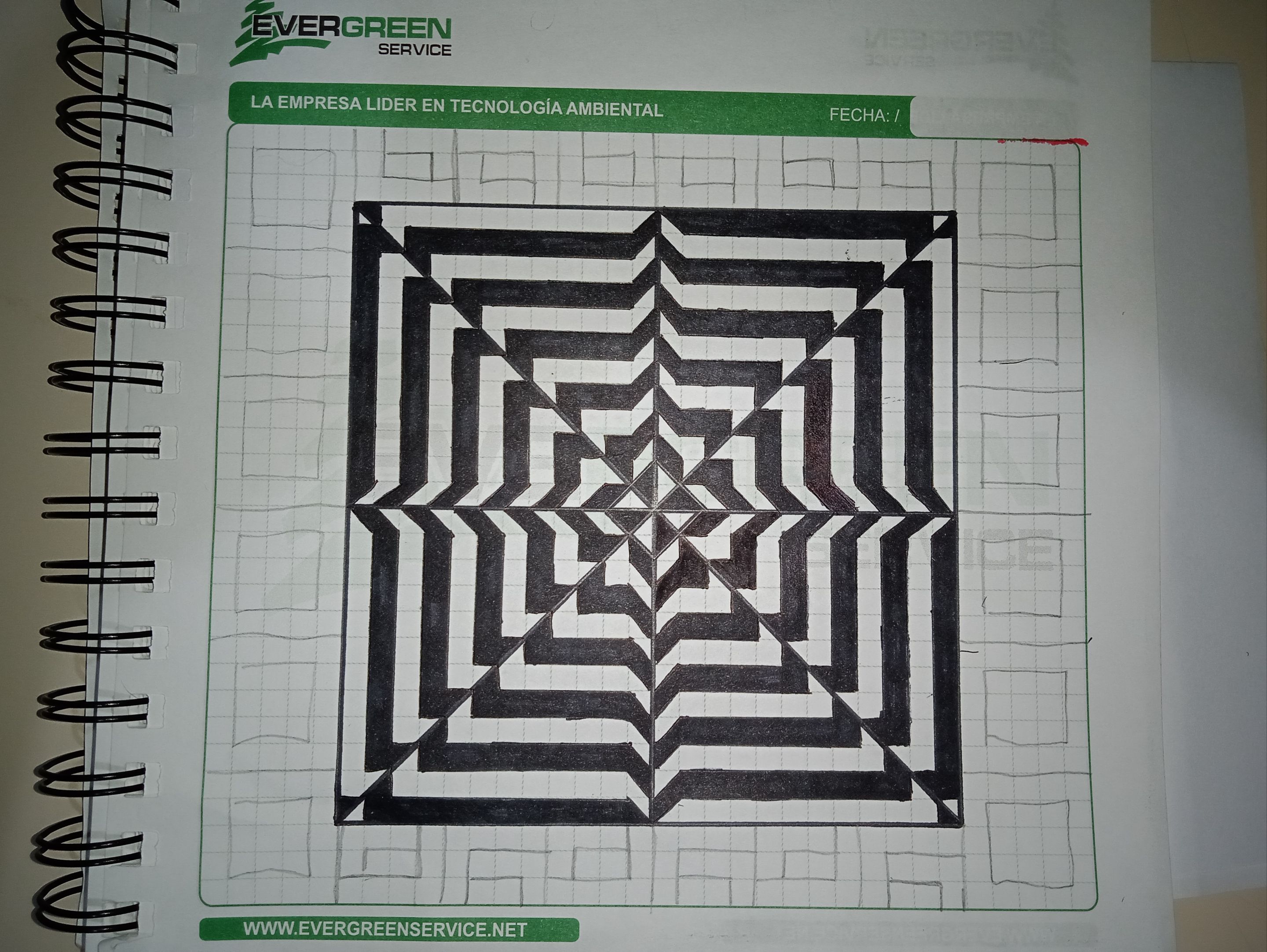 1749775224350.jpg