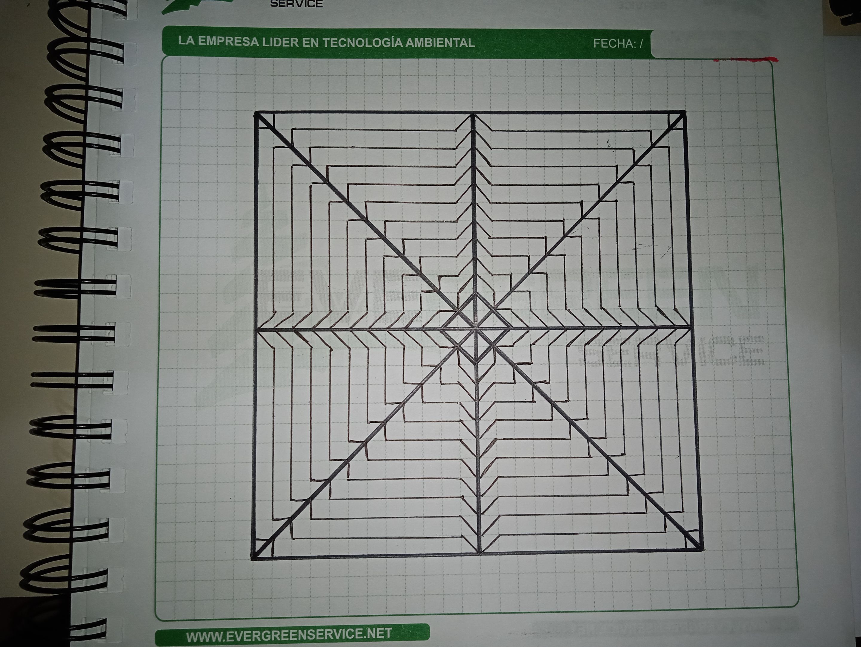 1749775224465.jpg