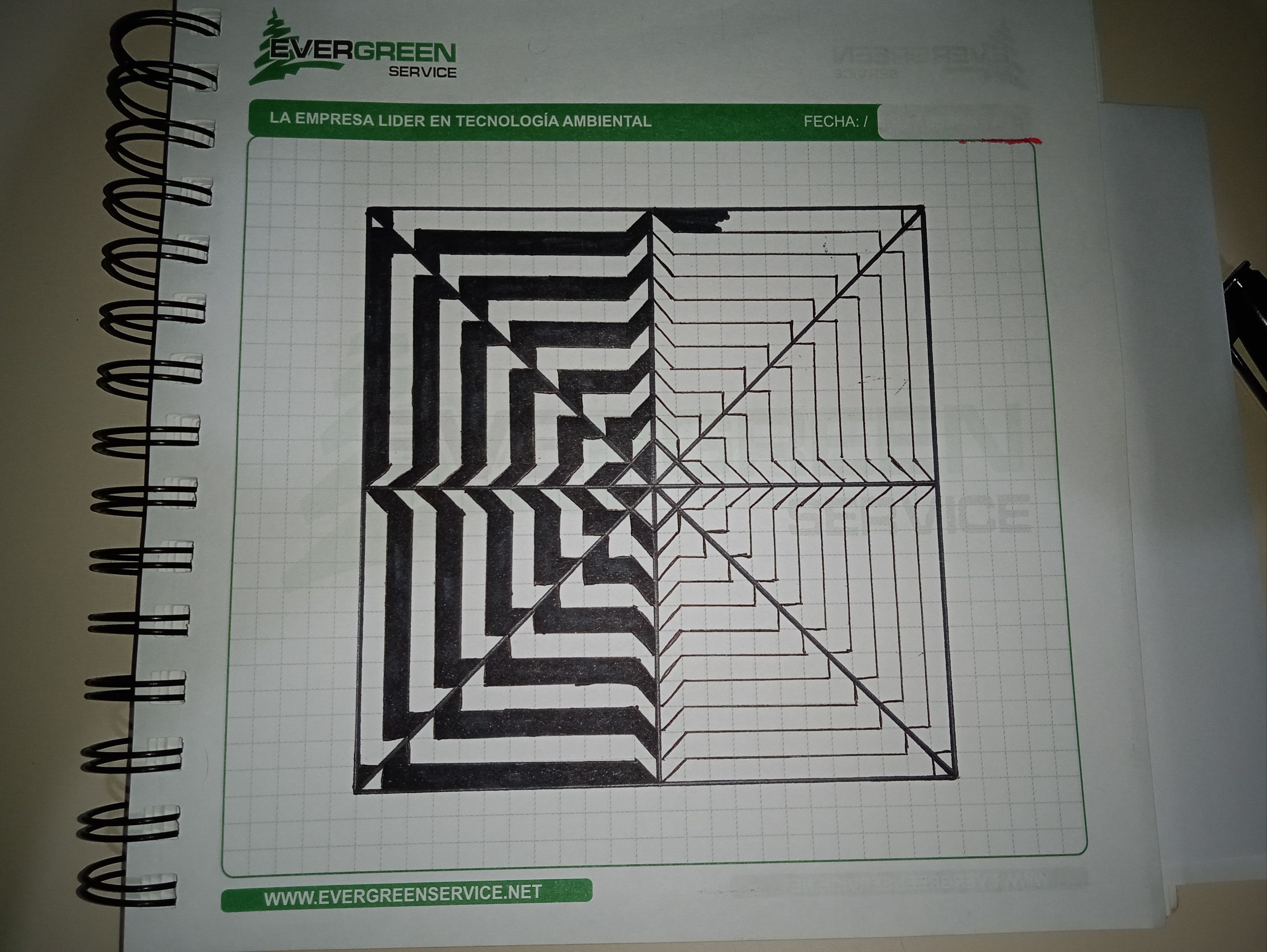 1749775224414.jpg