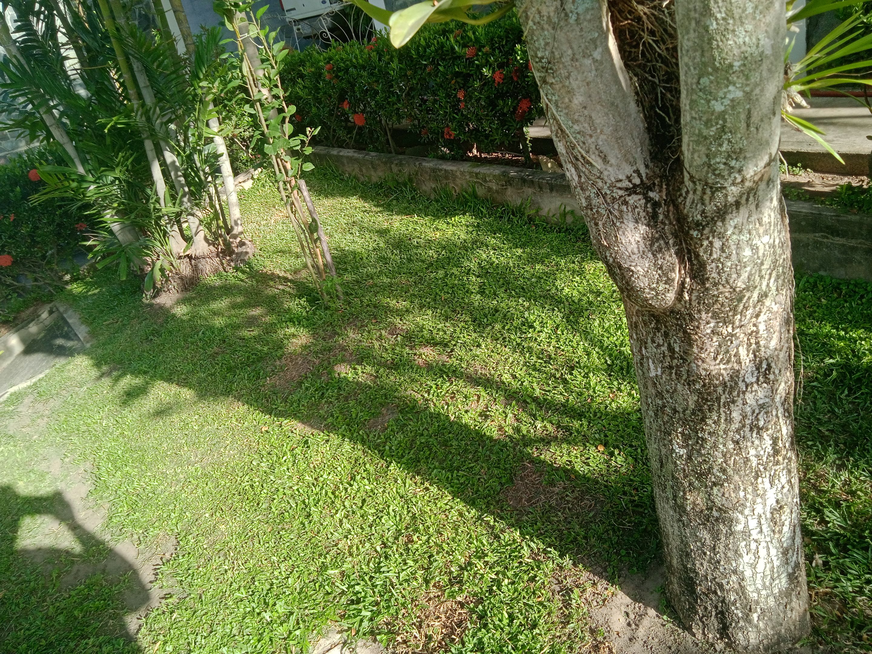 IMG_20250922_162816_1.jpg