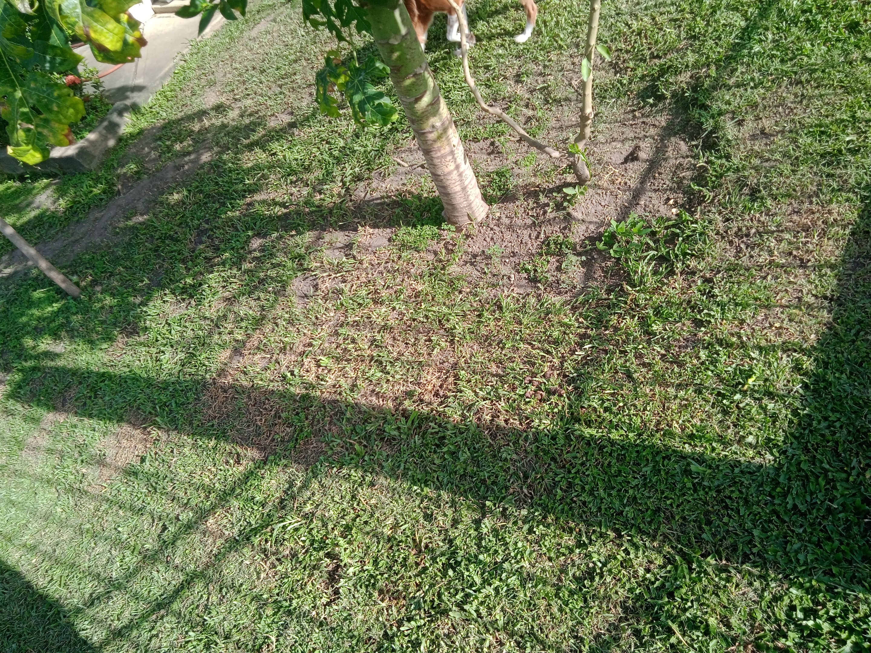 IMG_20250922_162743_1.jpg