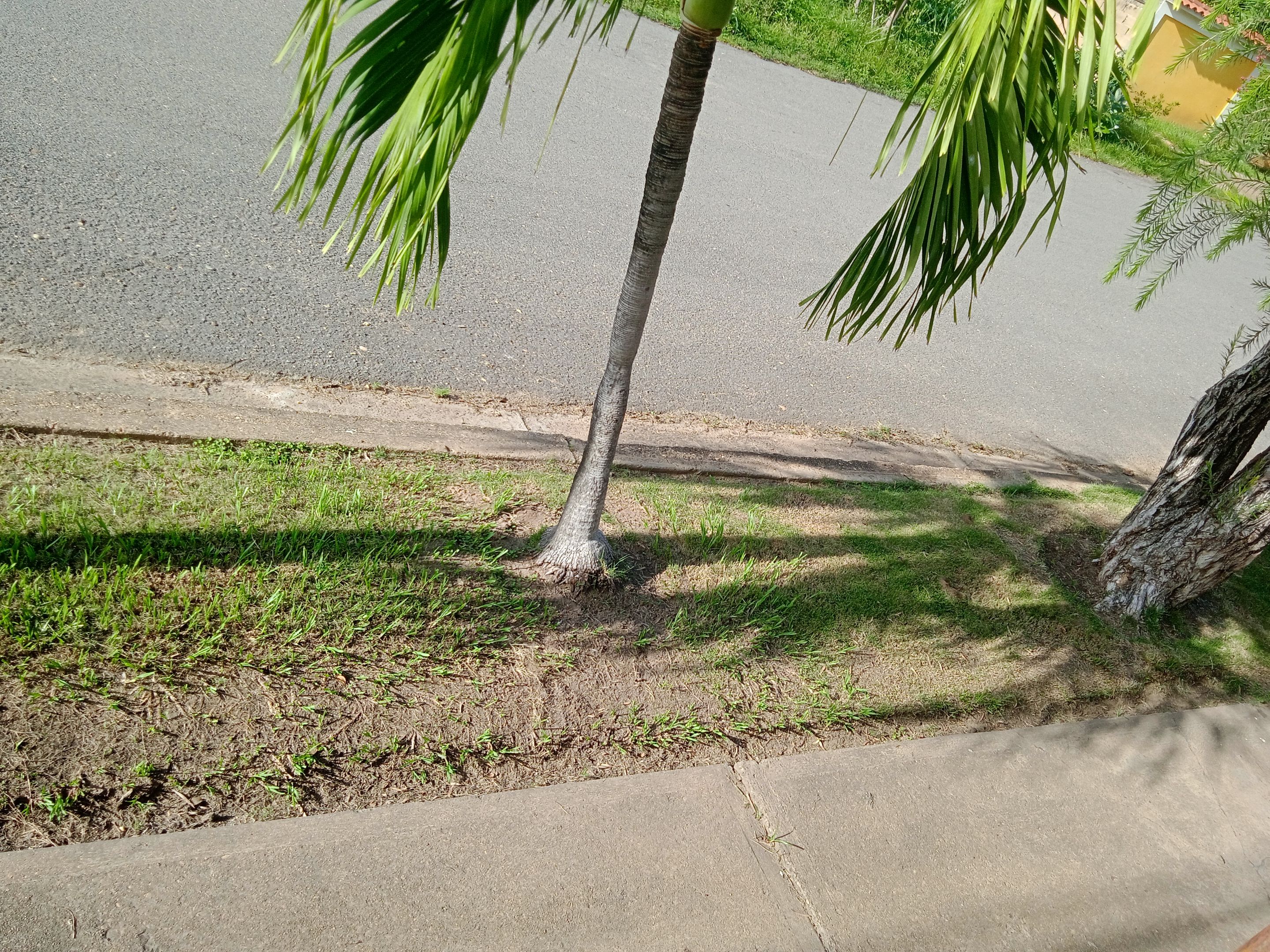 IMG_20250922_162718.jpg