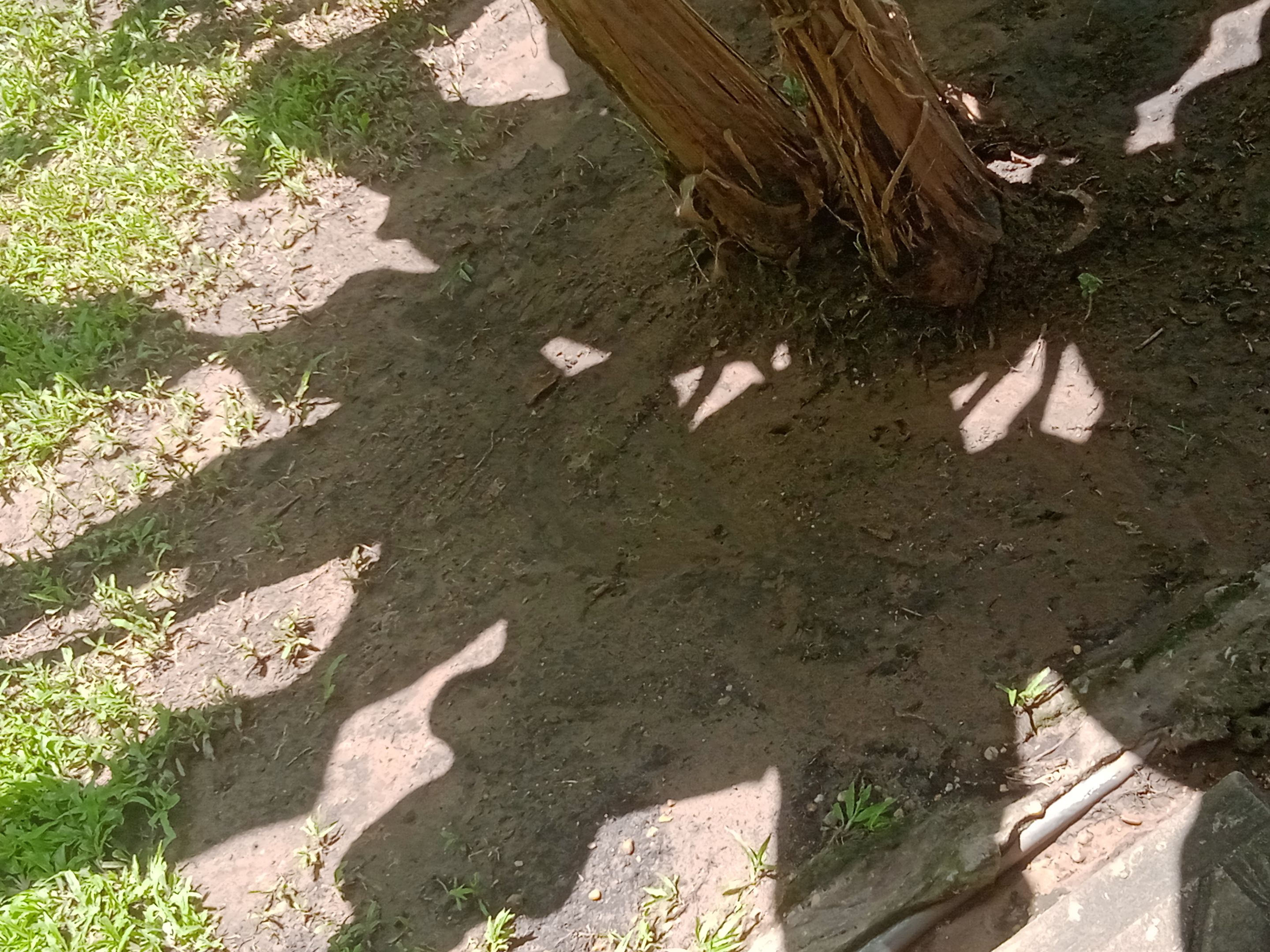 IMG_20250908_115318.jpg
