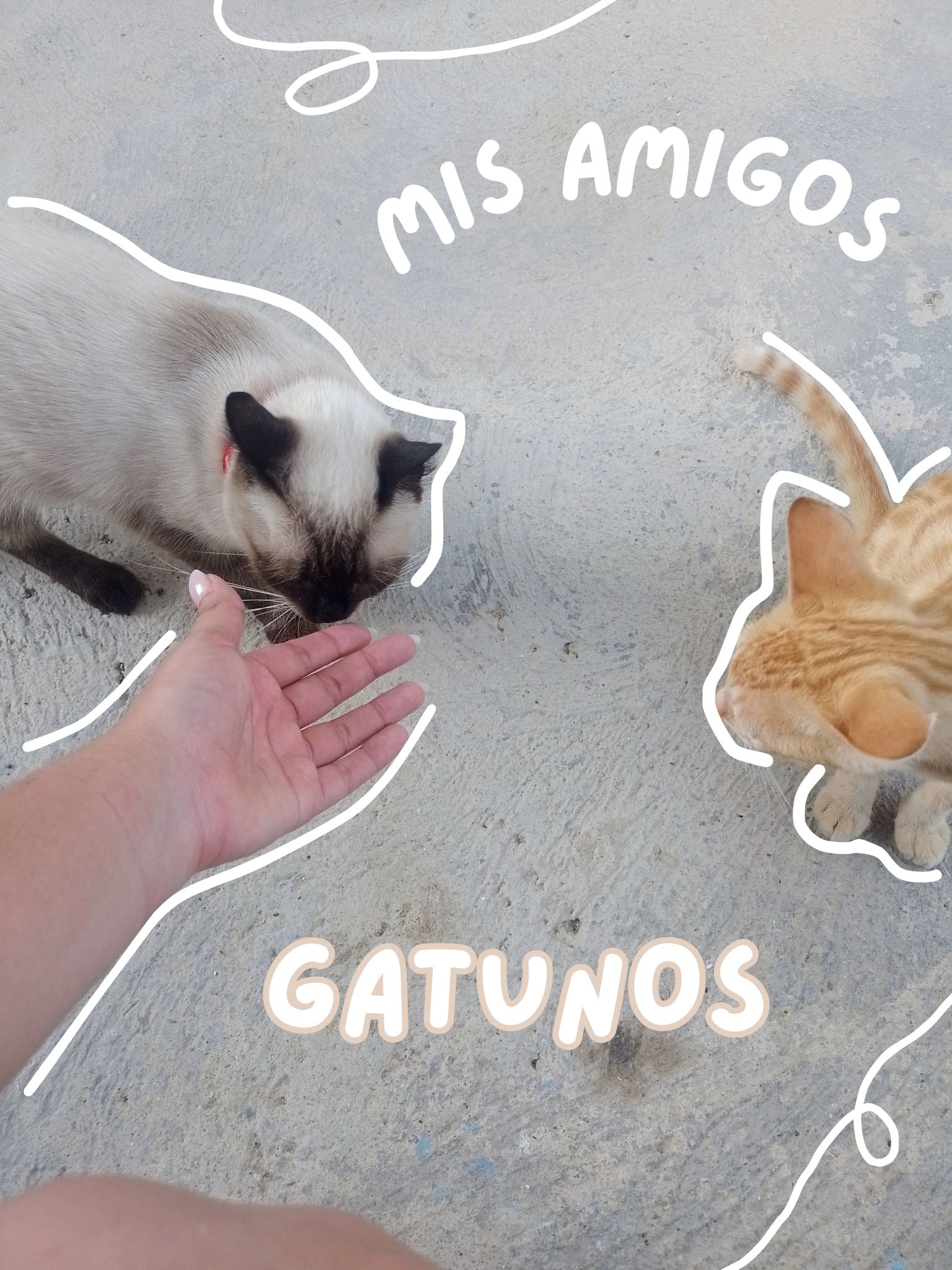 Mis amigos.png
