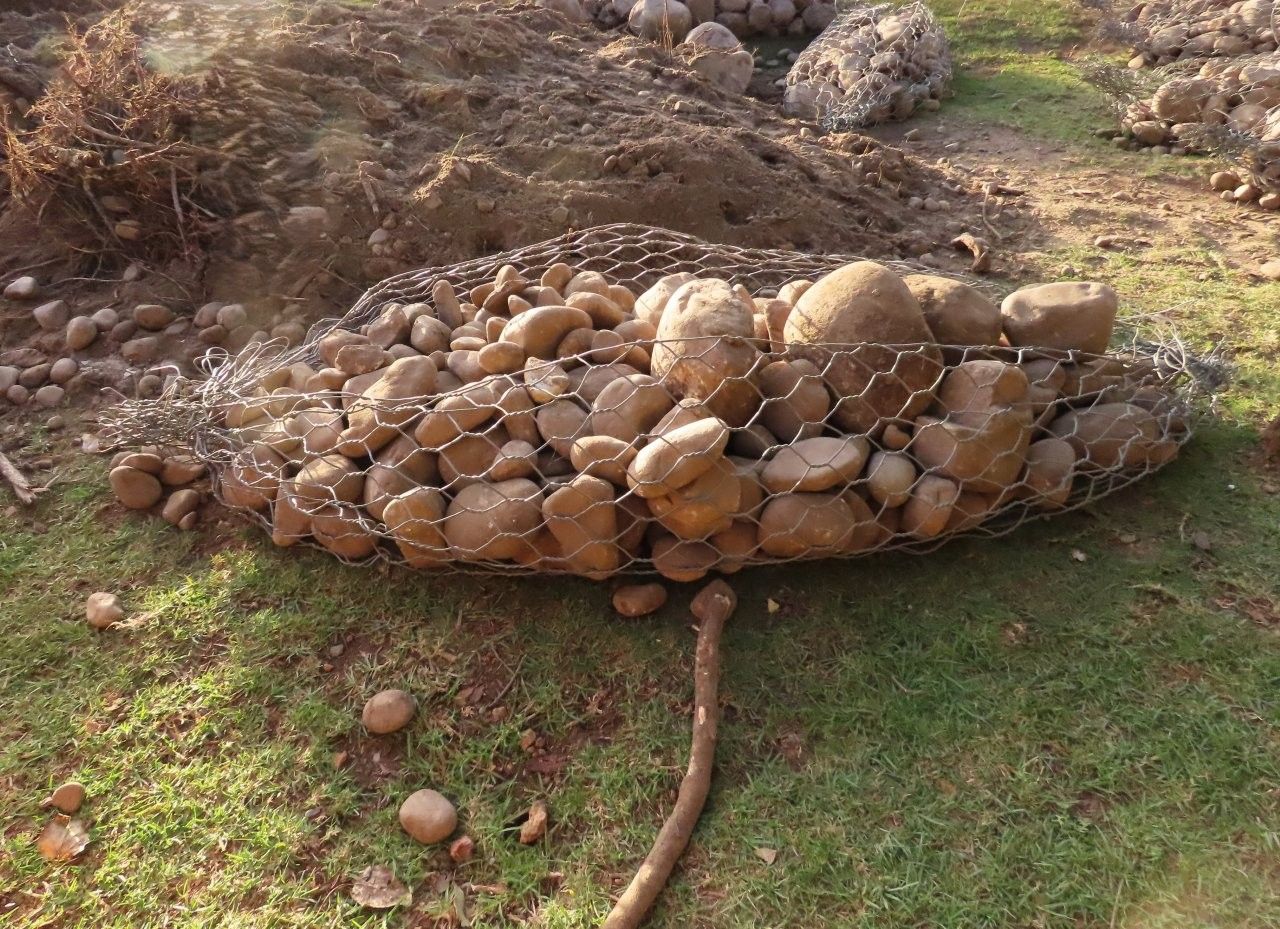 119.jpg