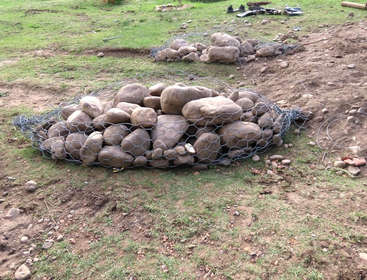262.jpg