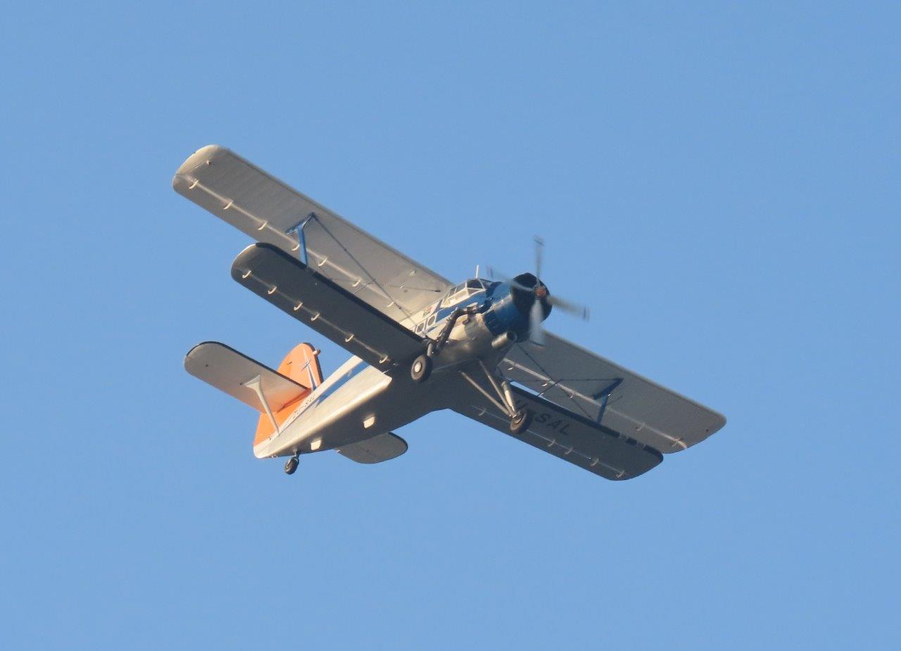 264.jpg