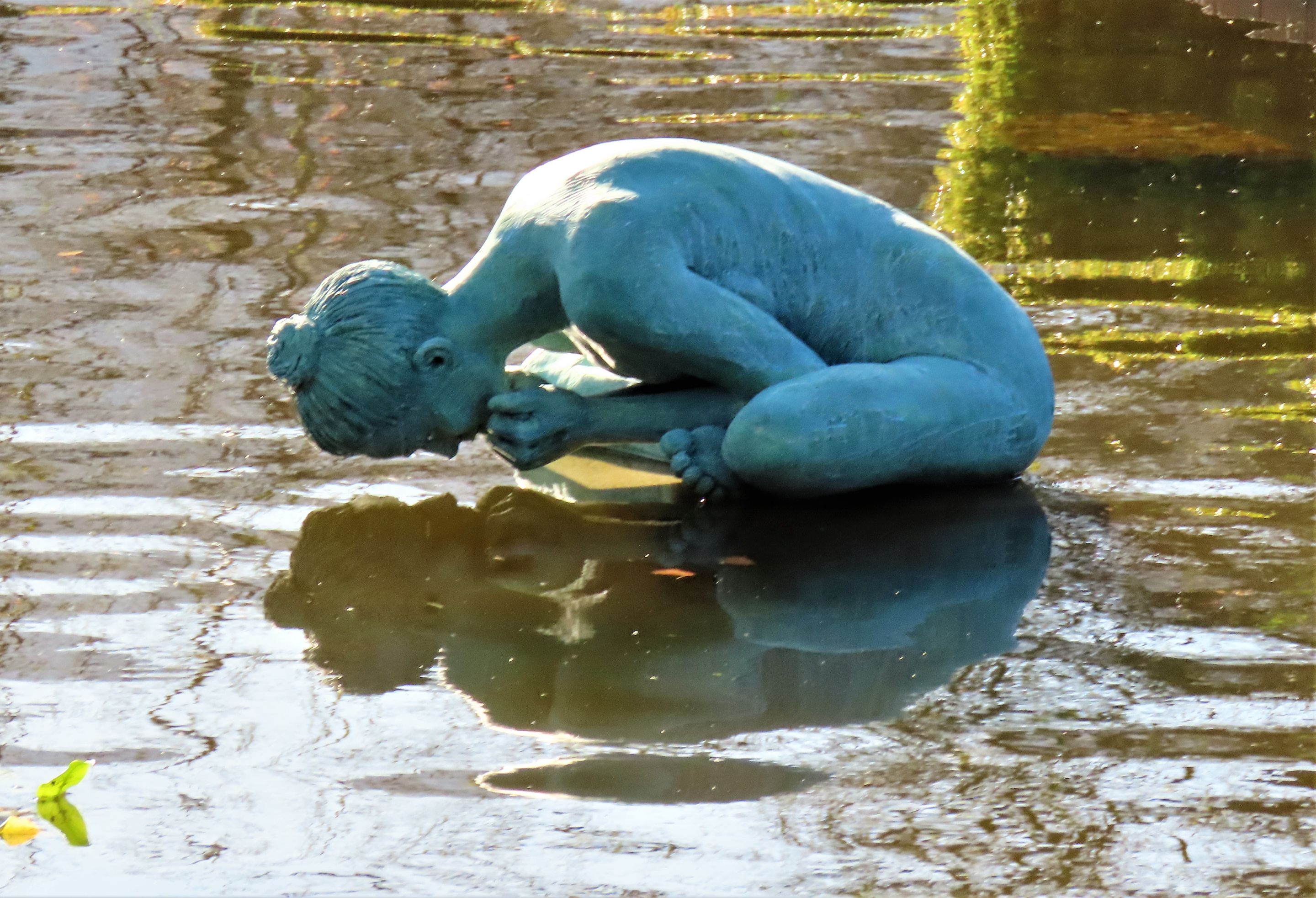 136.JPG