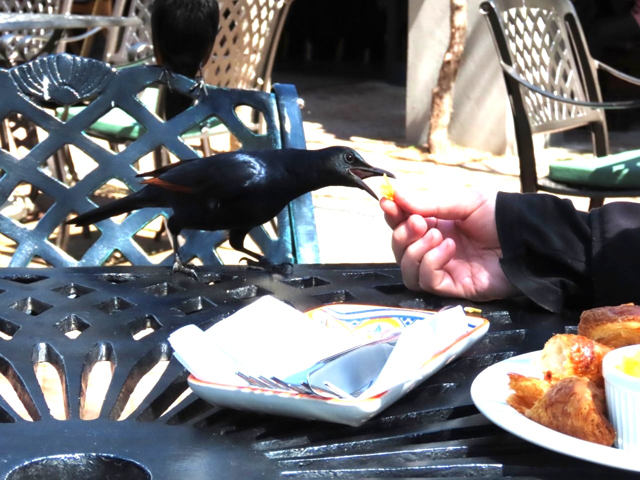 29 September 2025.jpg