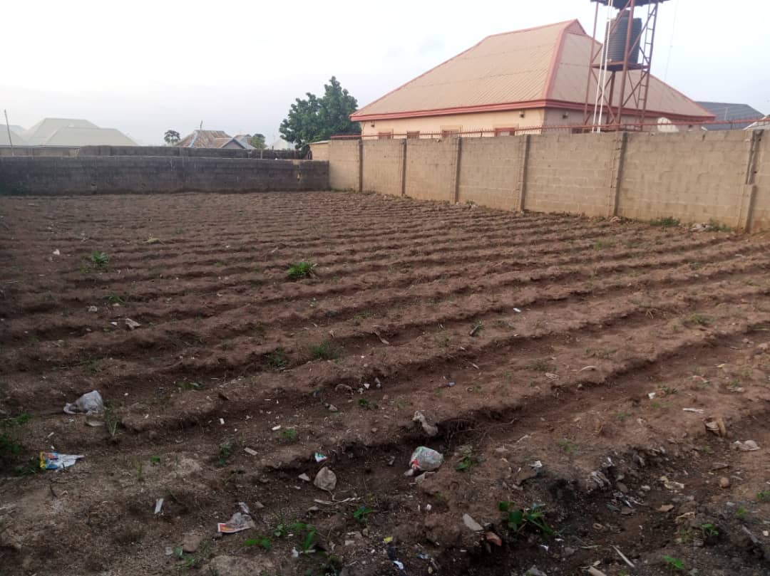 farm6.jpg