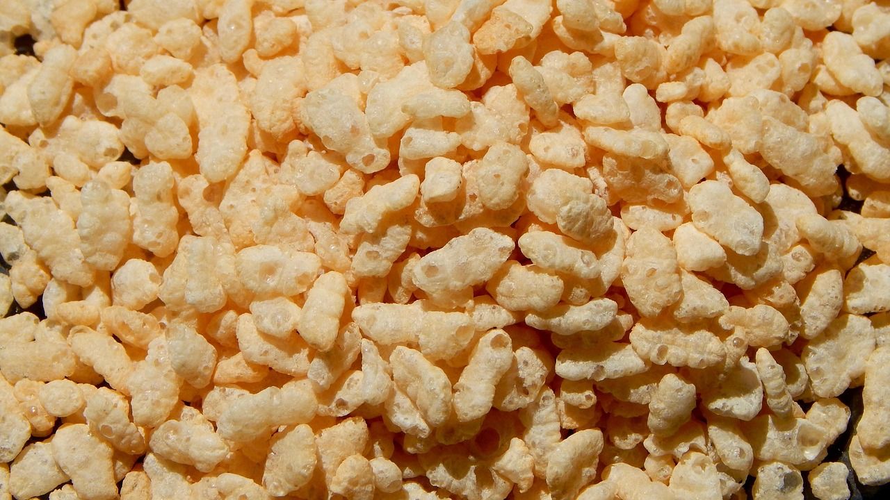 rice-1554538_1280.jpg