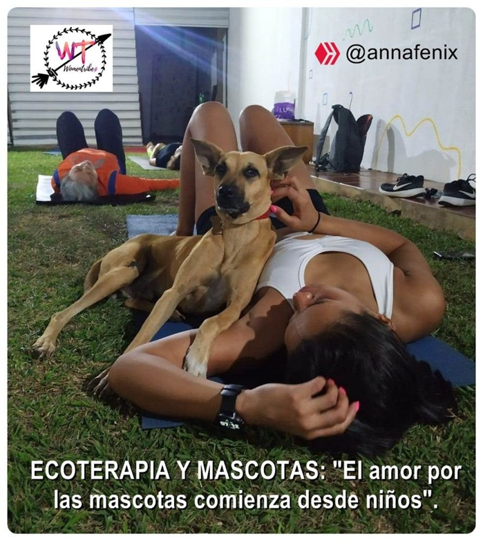 Imagen.annafenix.png