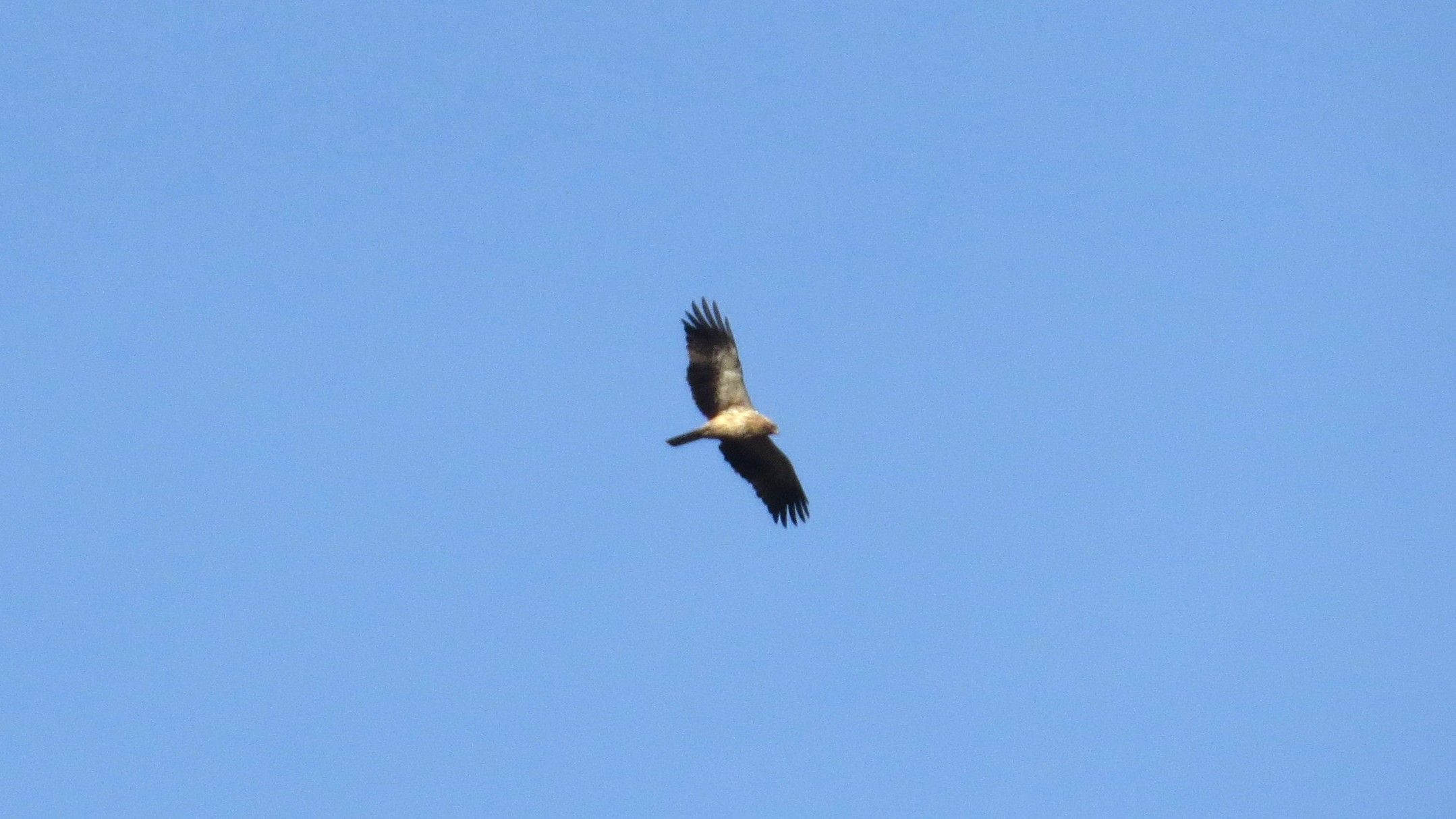IMG_0007.JPG