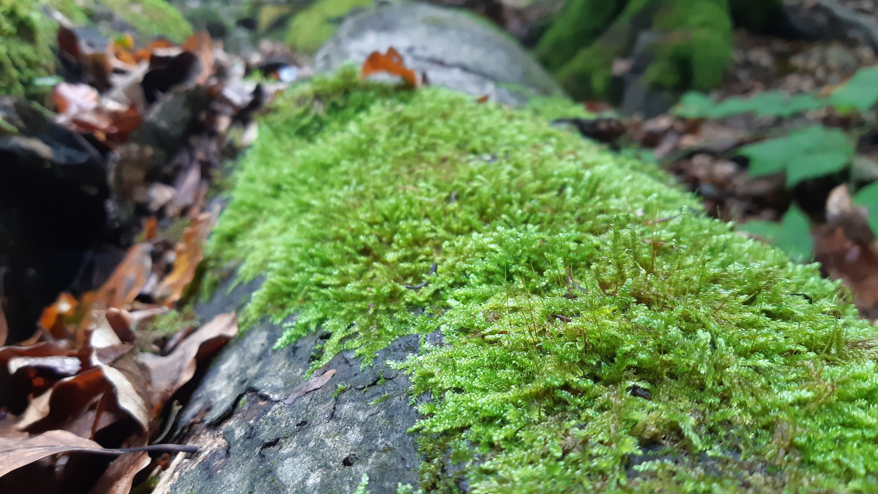 20220910_122937.jpg
