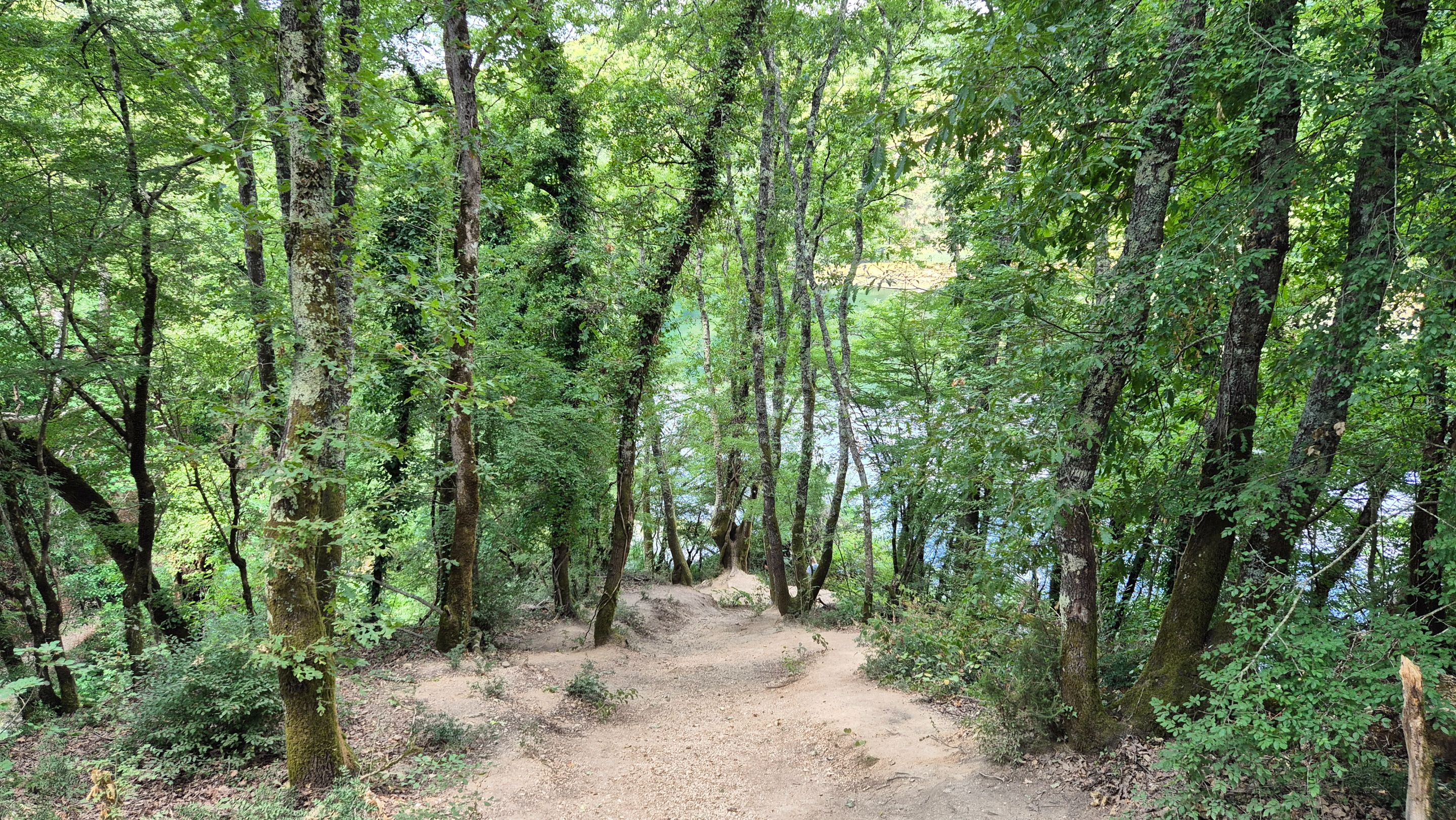 20250715_111543.jpg