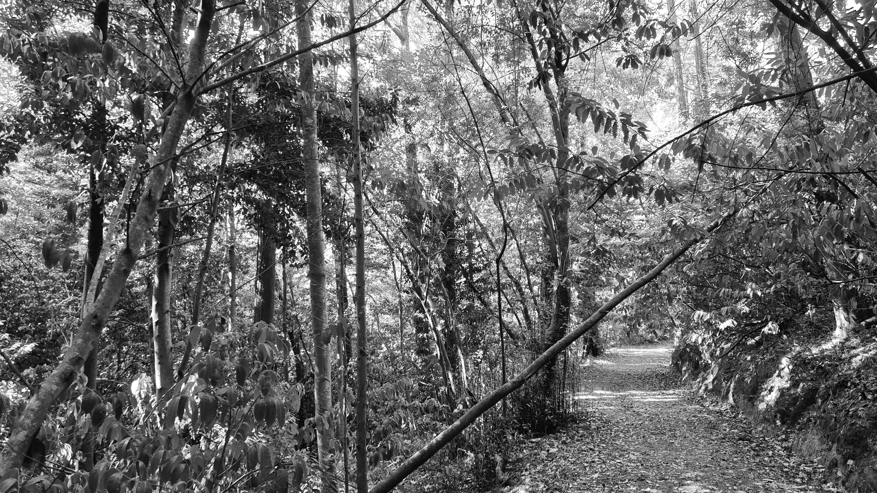 20250905_163838.jpg