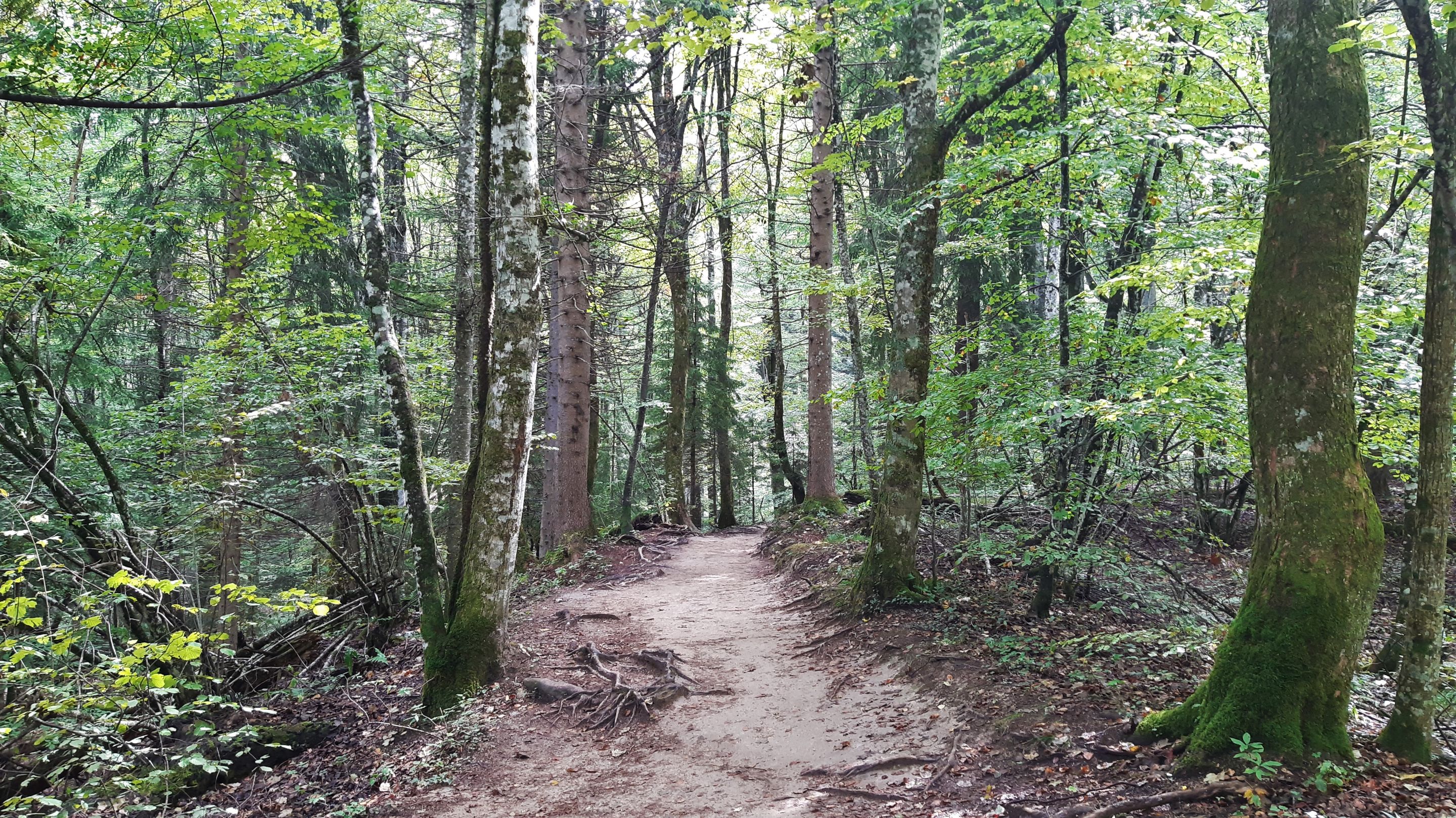 20220910_121851.jpg