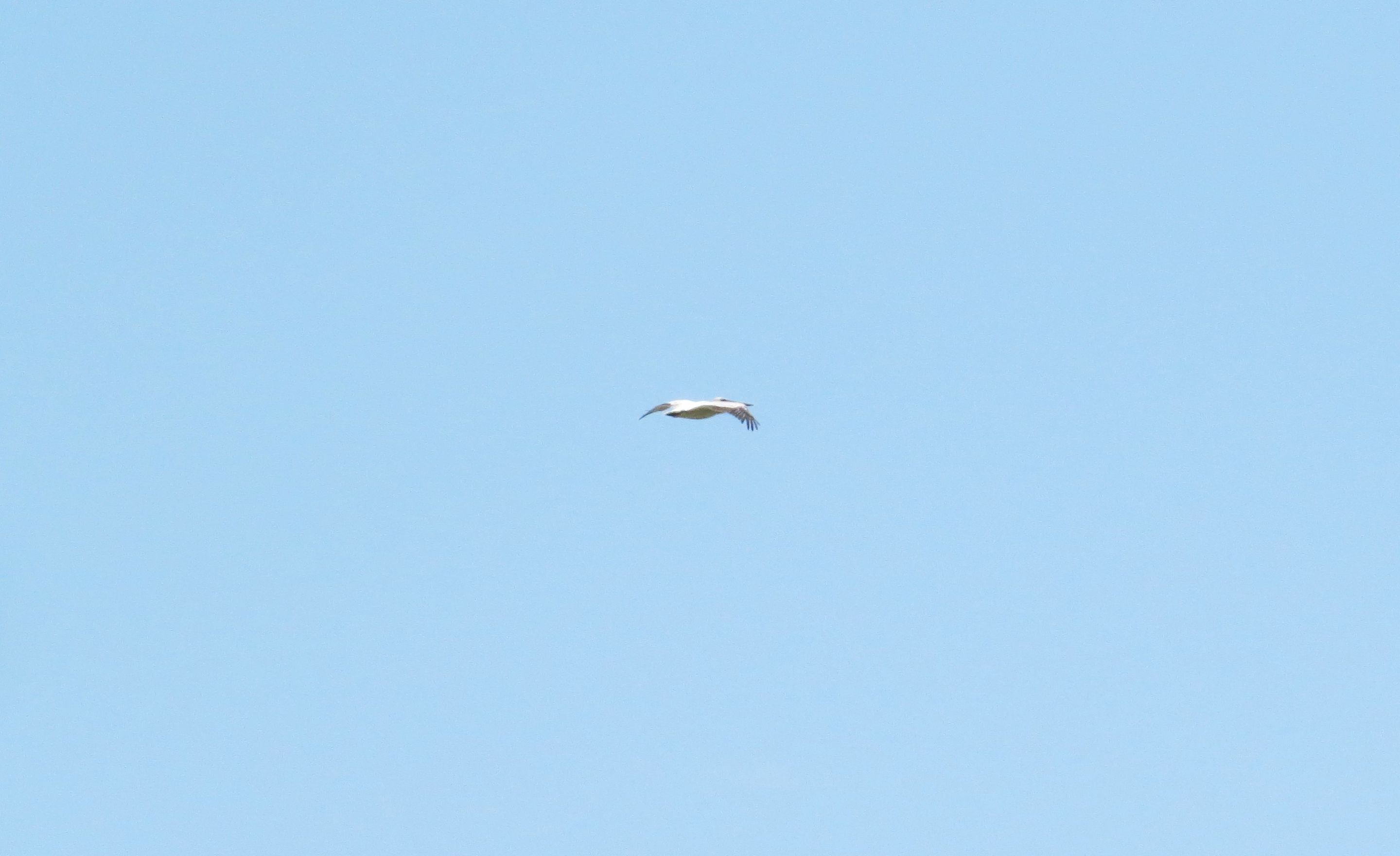 IMG_0148.JPG