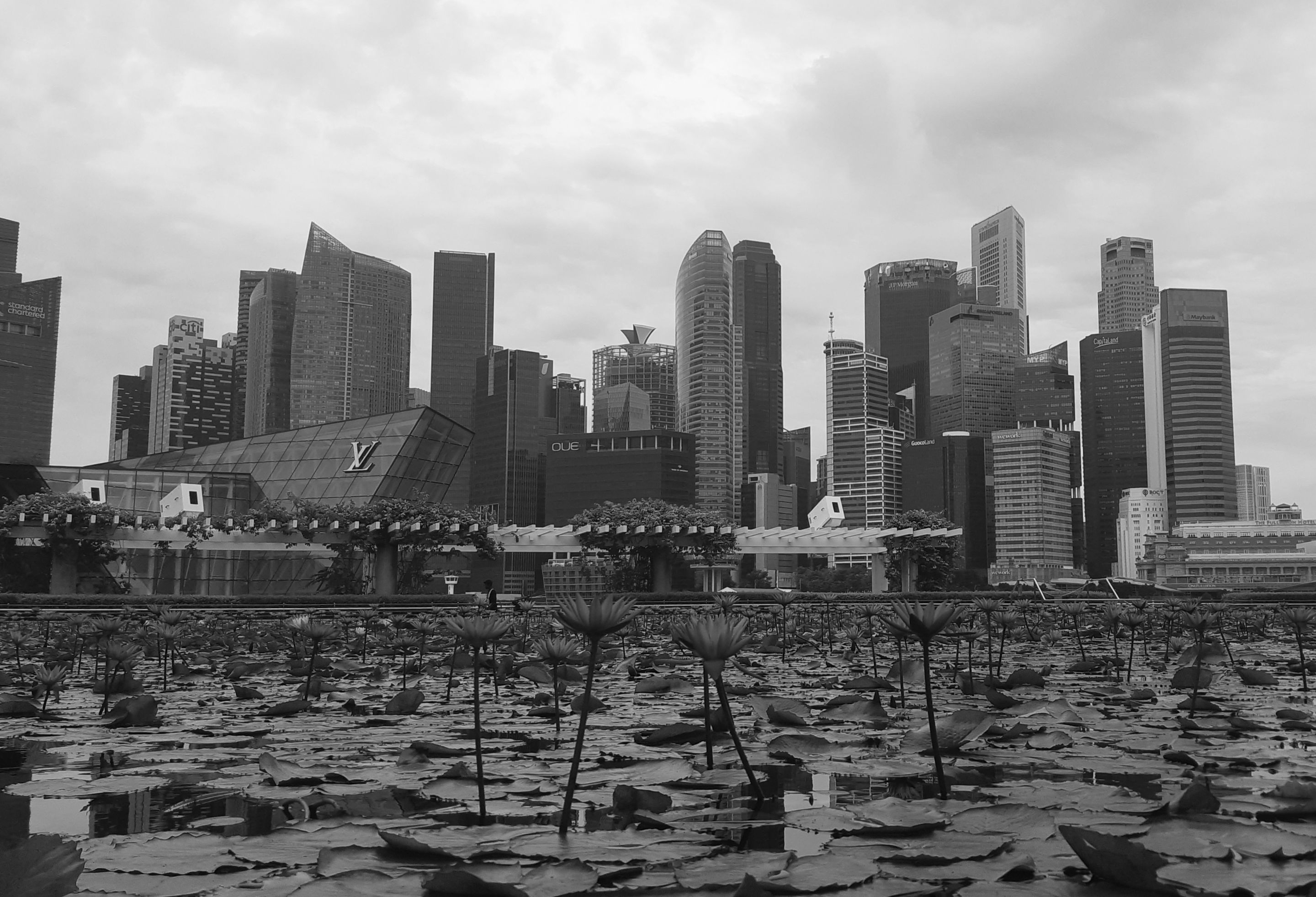 555.jpg