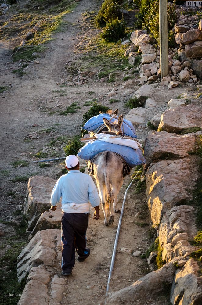 44 DSC_5666-web.jpg
