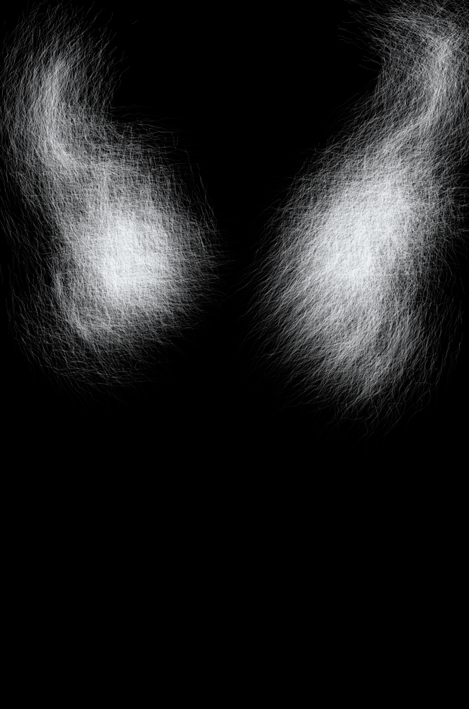 _DSC7273-alas-web.jpg