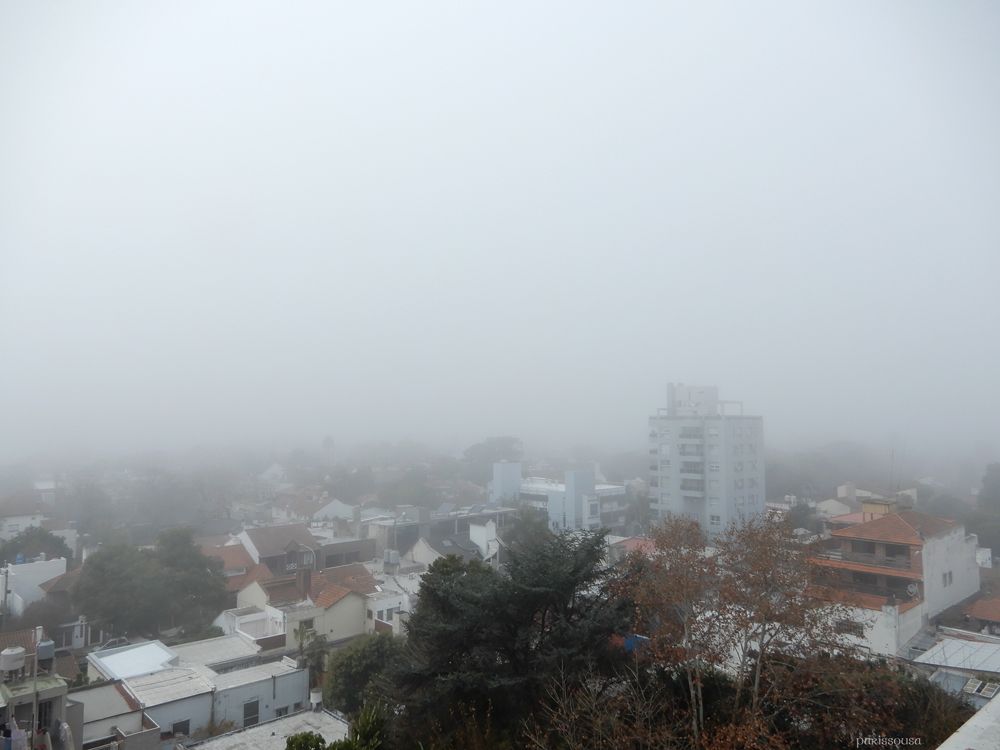 DSCN3718-web.jpg