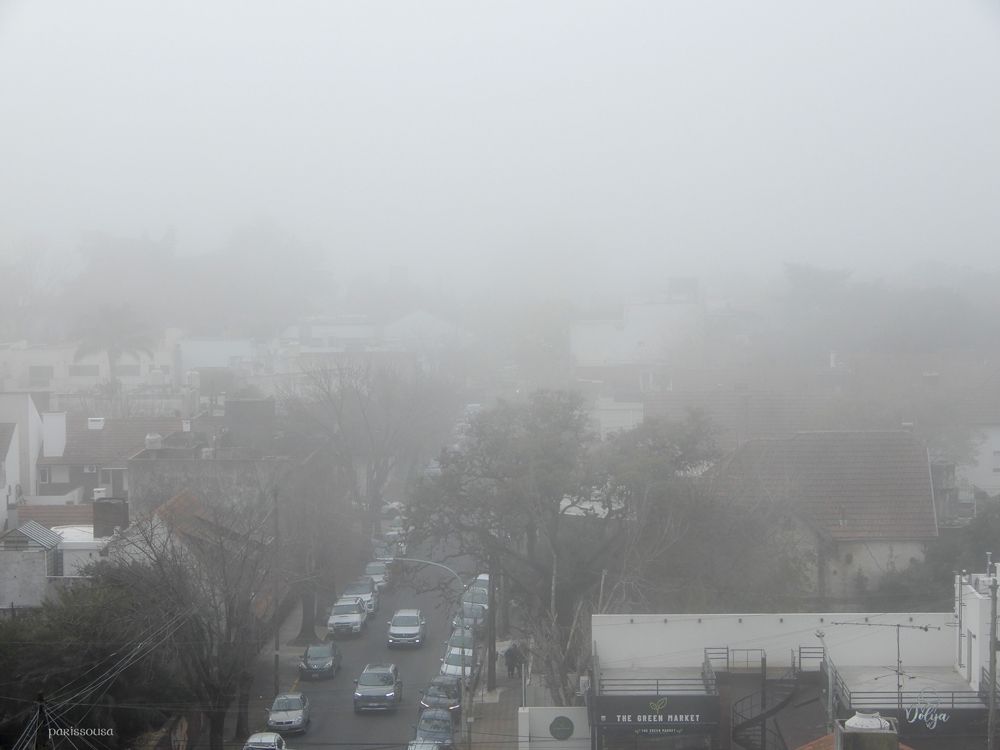 DSCN3714-web.jpg