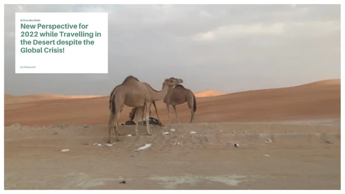 camels.webp