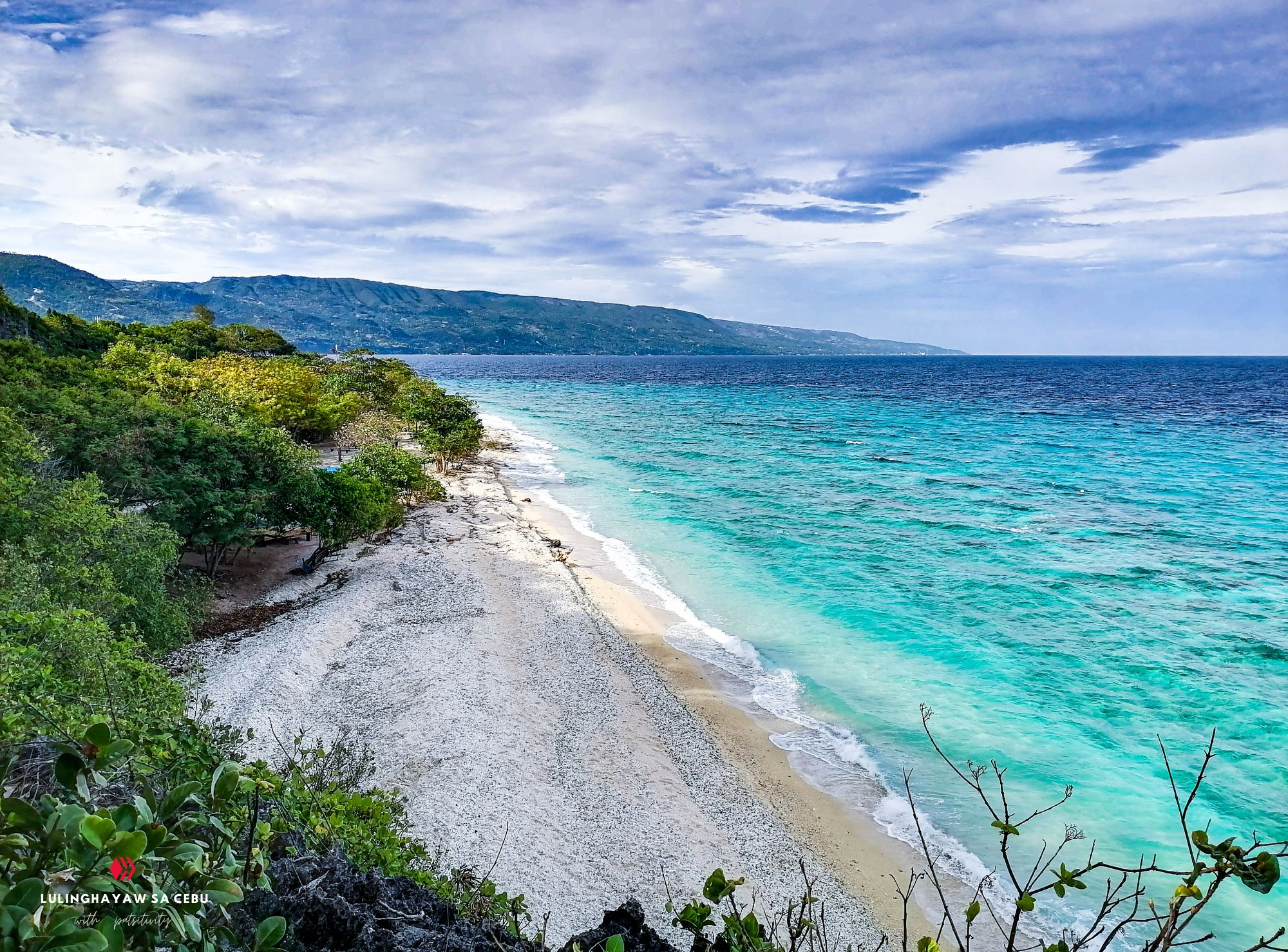 Hive_Camotes_Covers (6).png