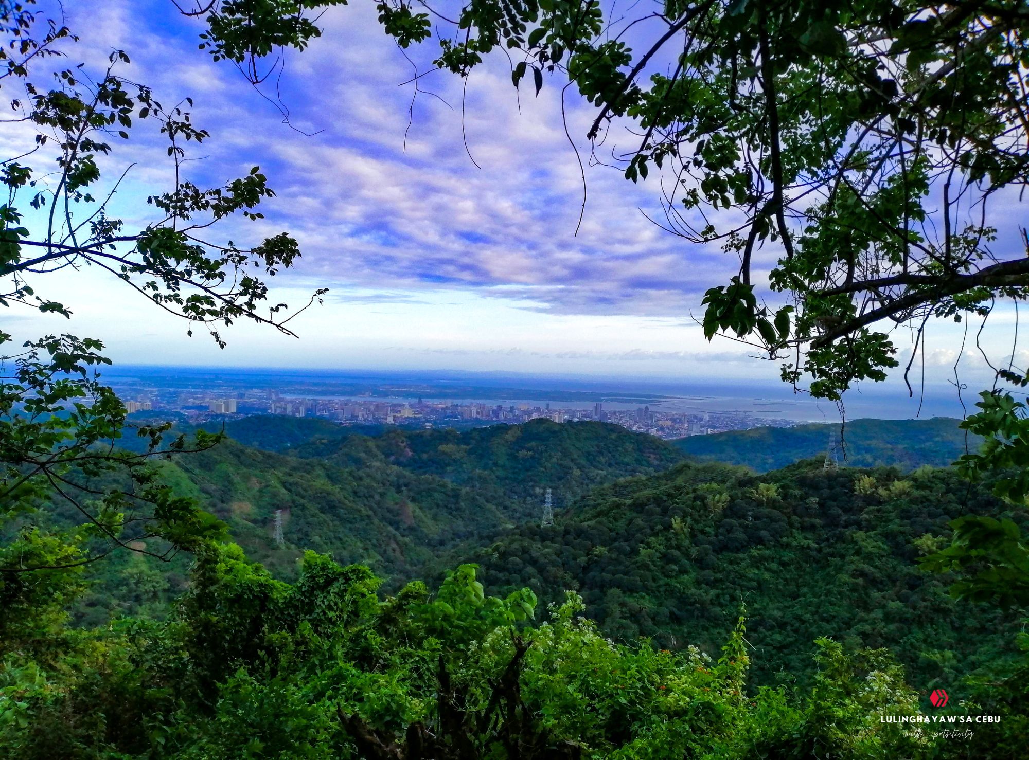 Hive_Camotes_Covers (9).png
