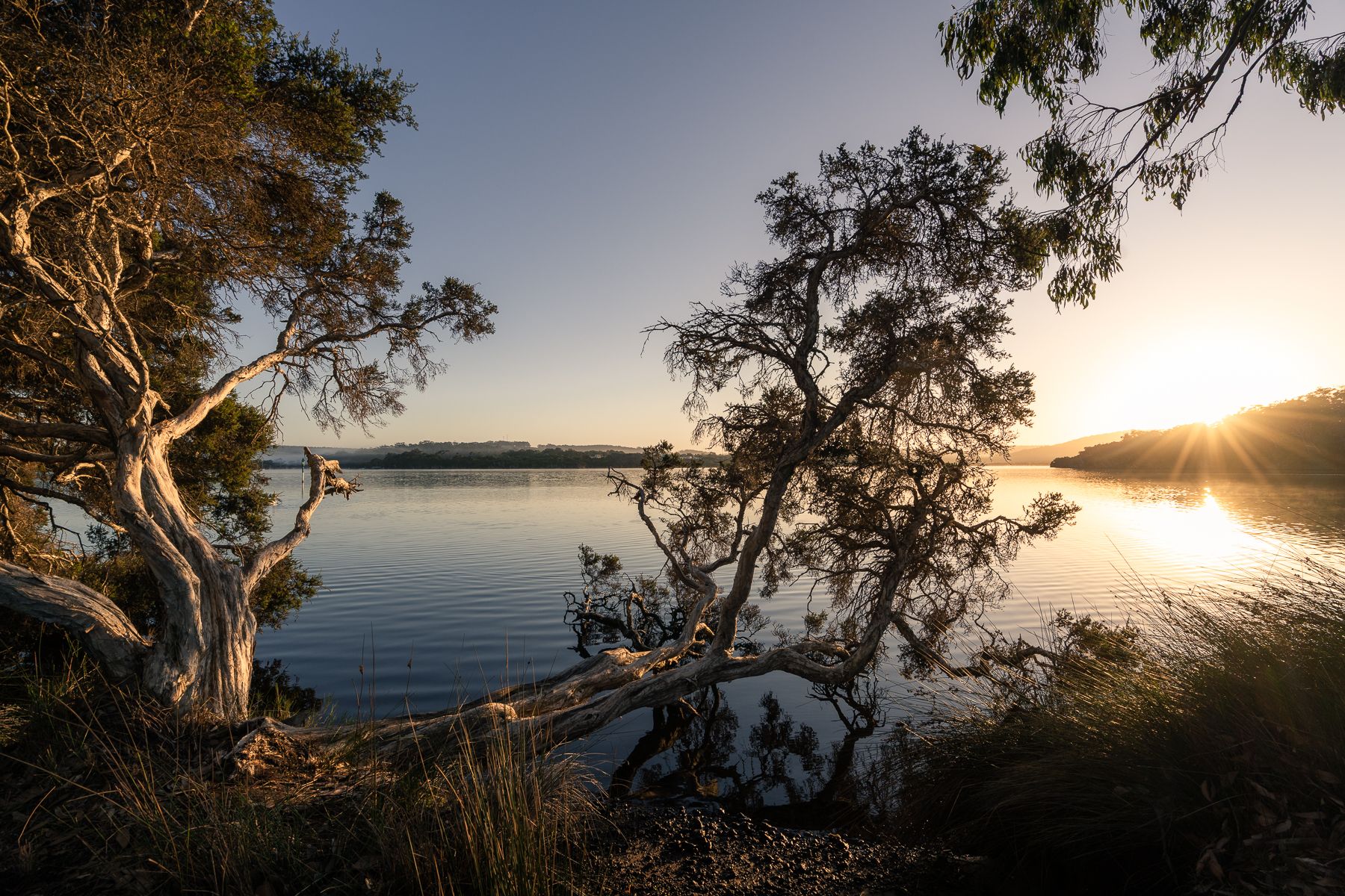 walpole-sunrise-1.jpg