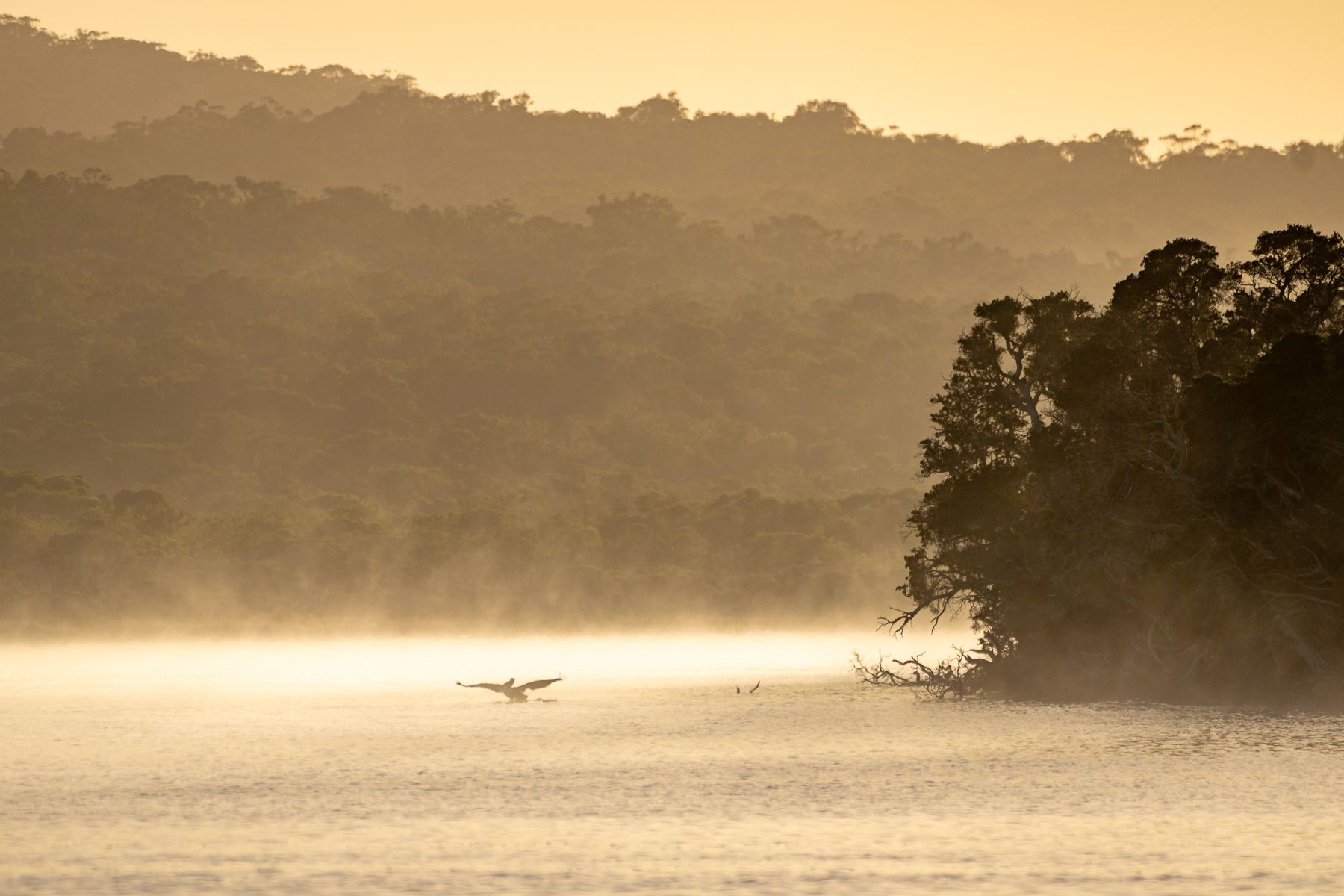 walpole-sunrise-3.jpg