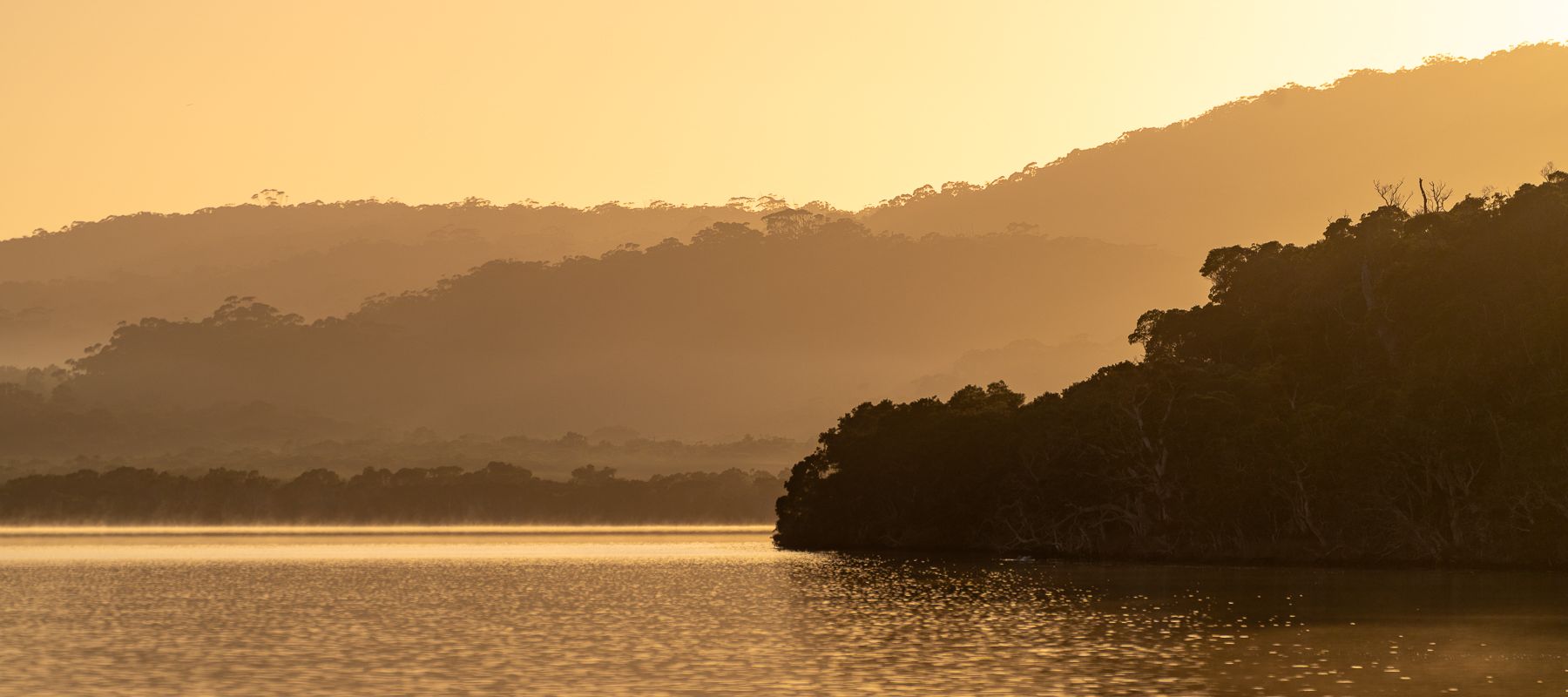 walpole-sunrise-2.jpg