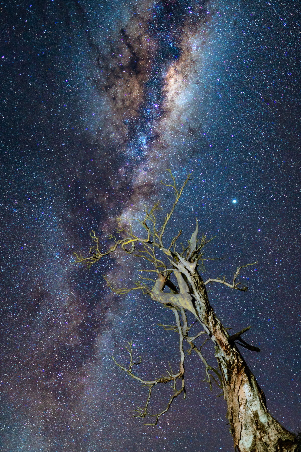 sonystars1.jpg