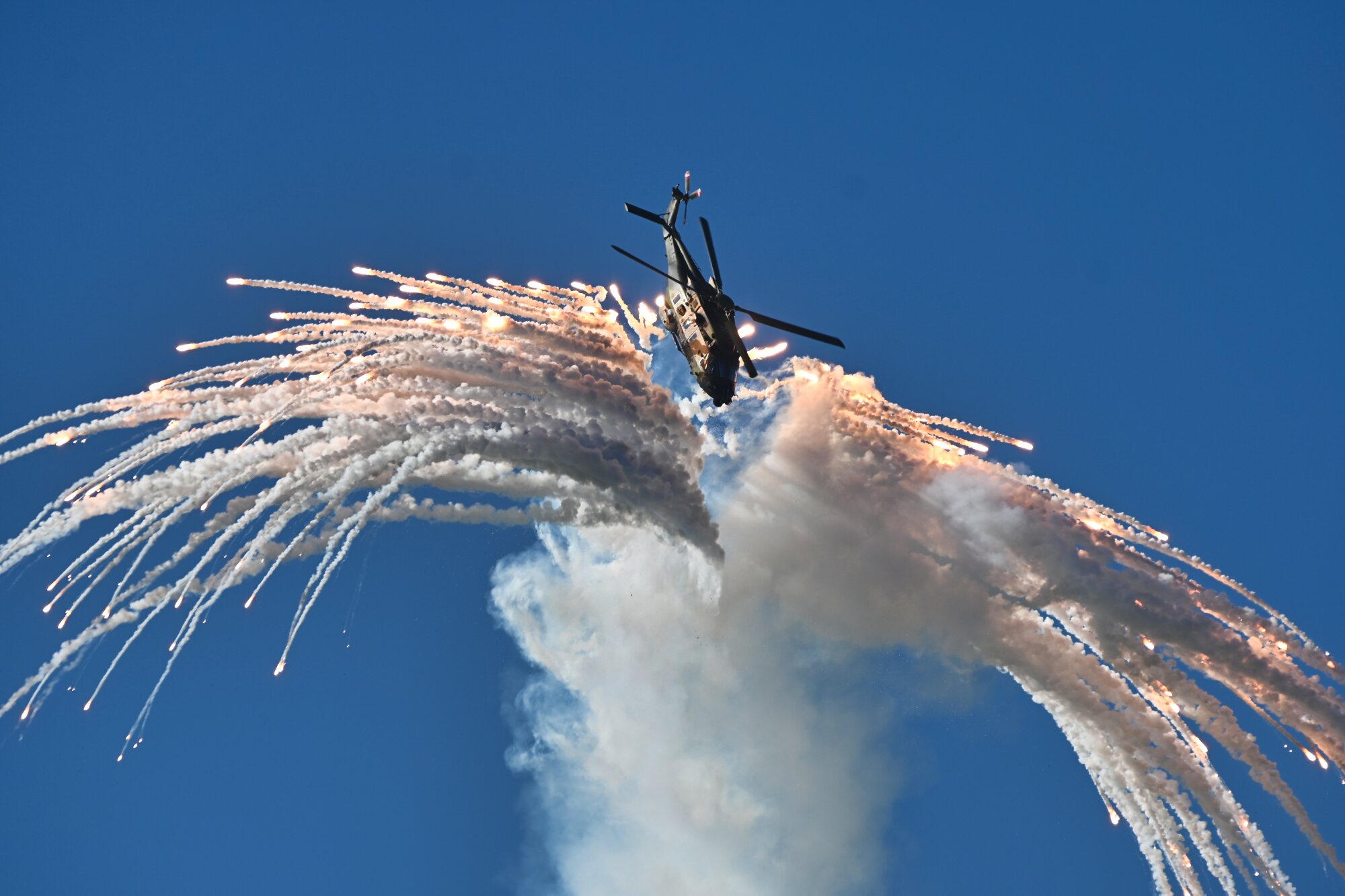 DSC_4268.jpg