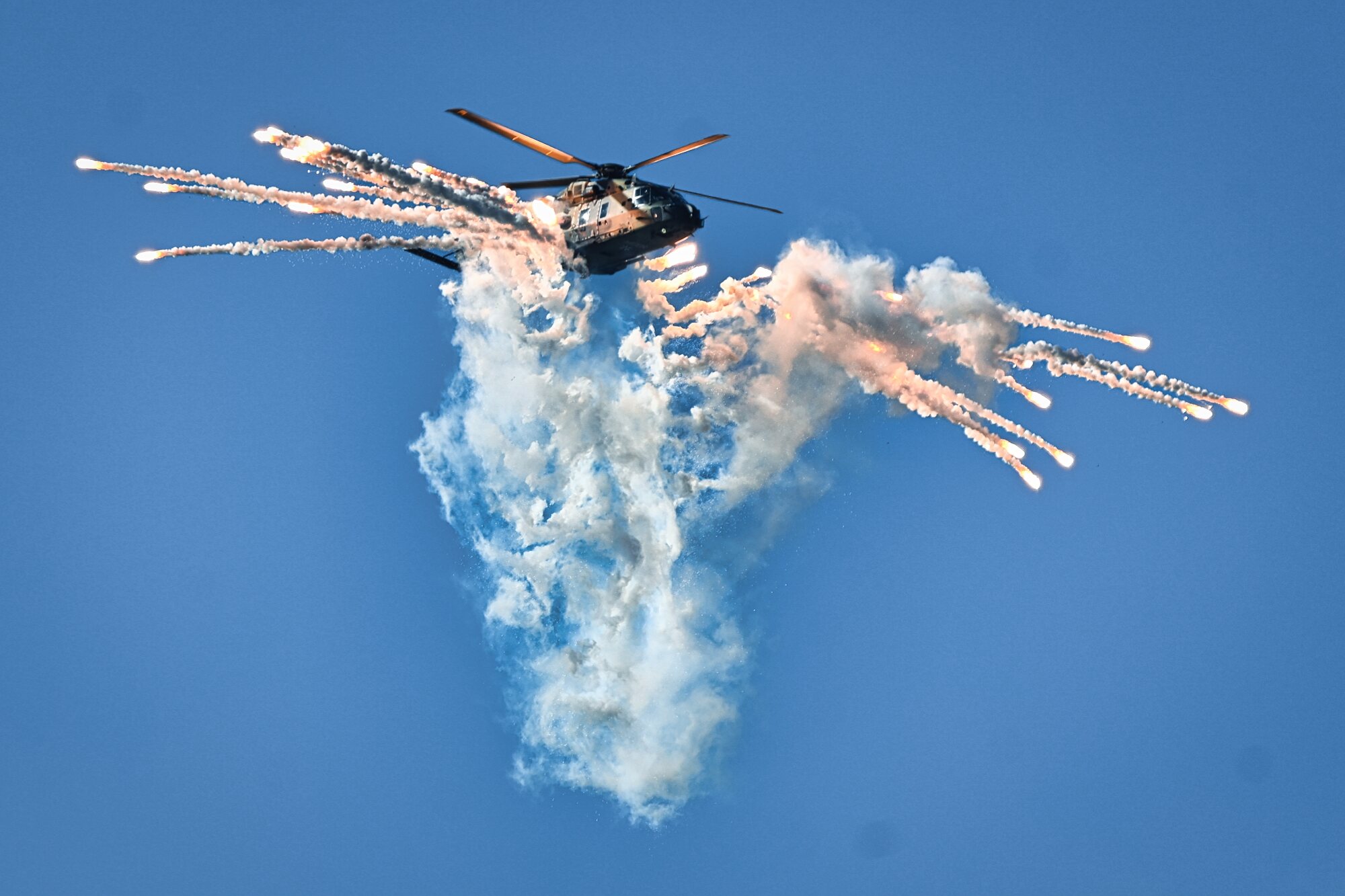 DSC_4264.jpg