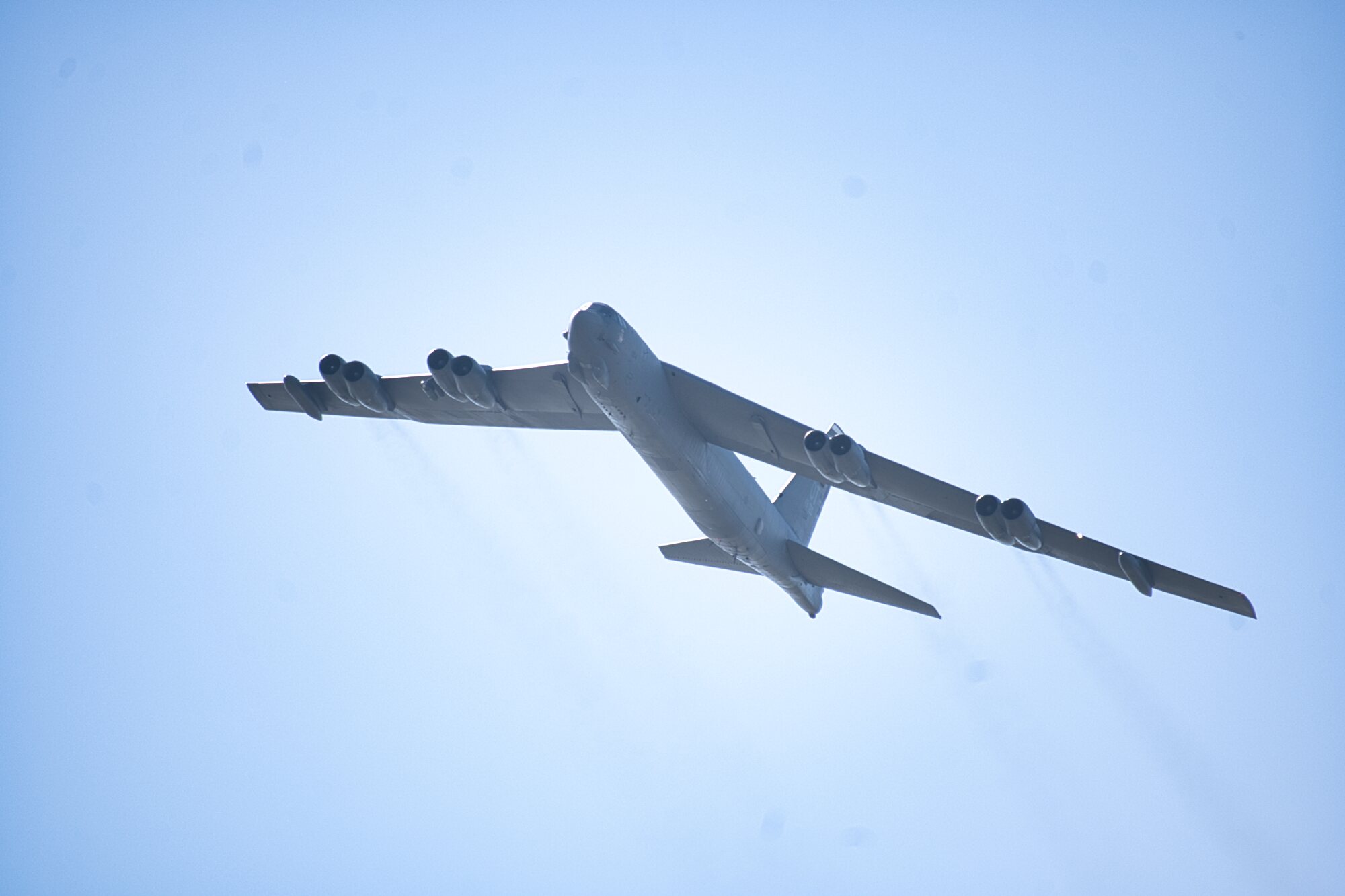 DSC_4595.jpg
