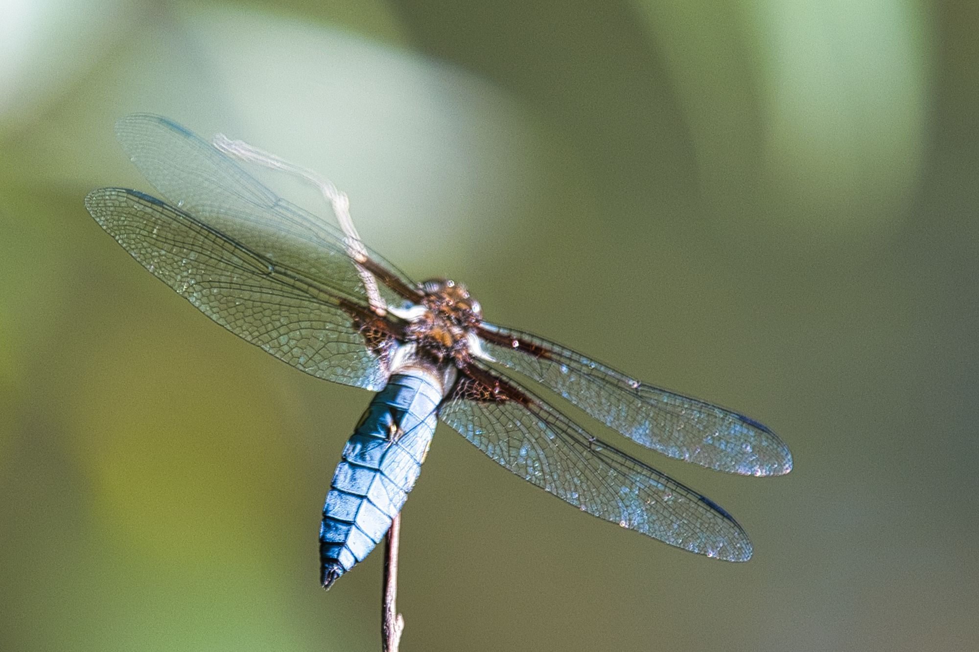 DSC_1728.jpg