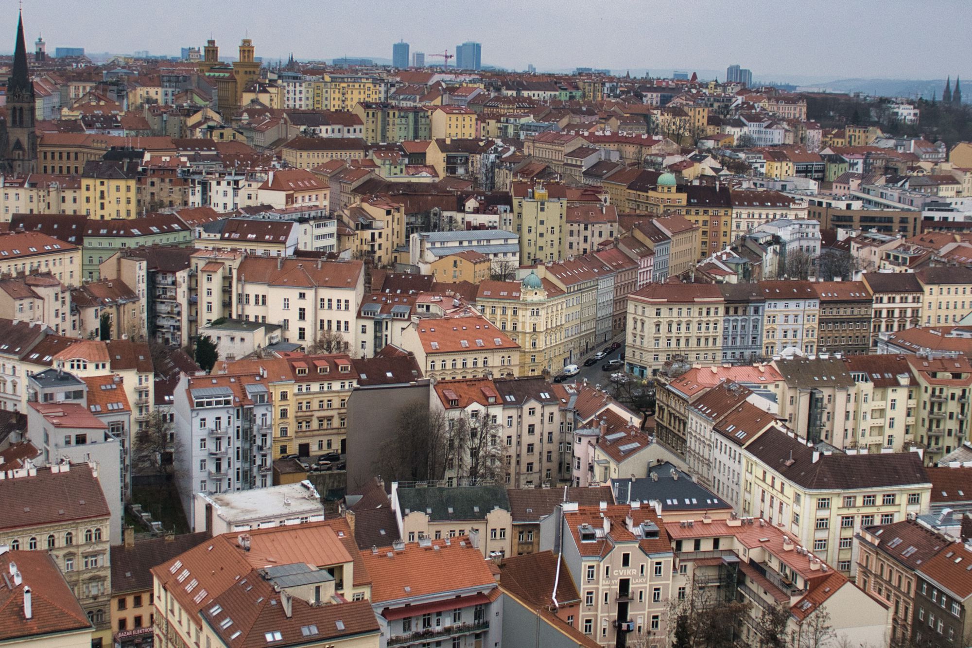DSC_0016.jpg
