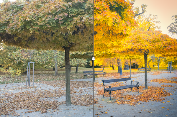 Snímek obrazovky 2025-10-19 181253.png