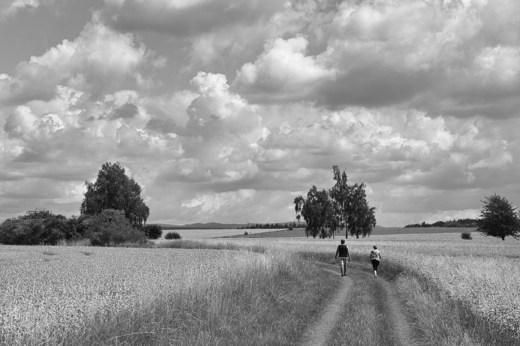 DSC_1885.jpg