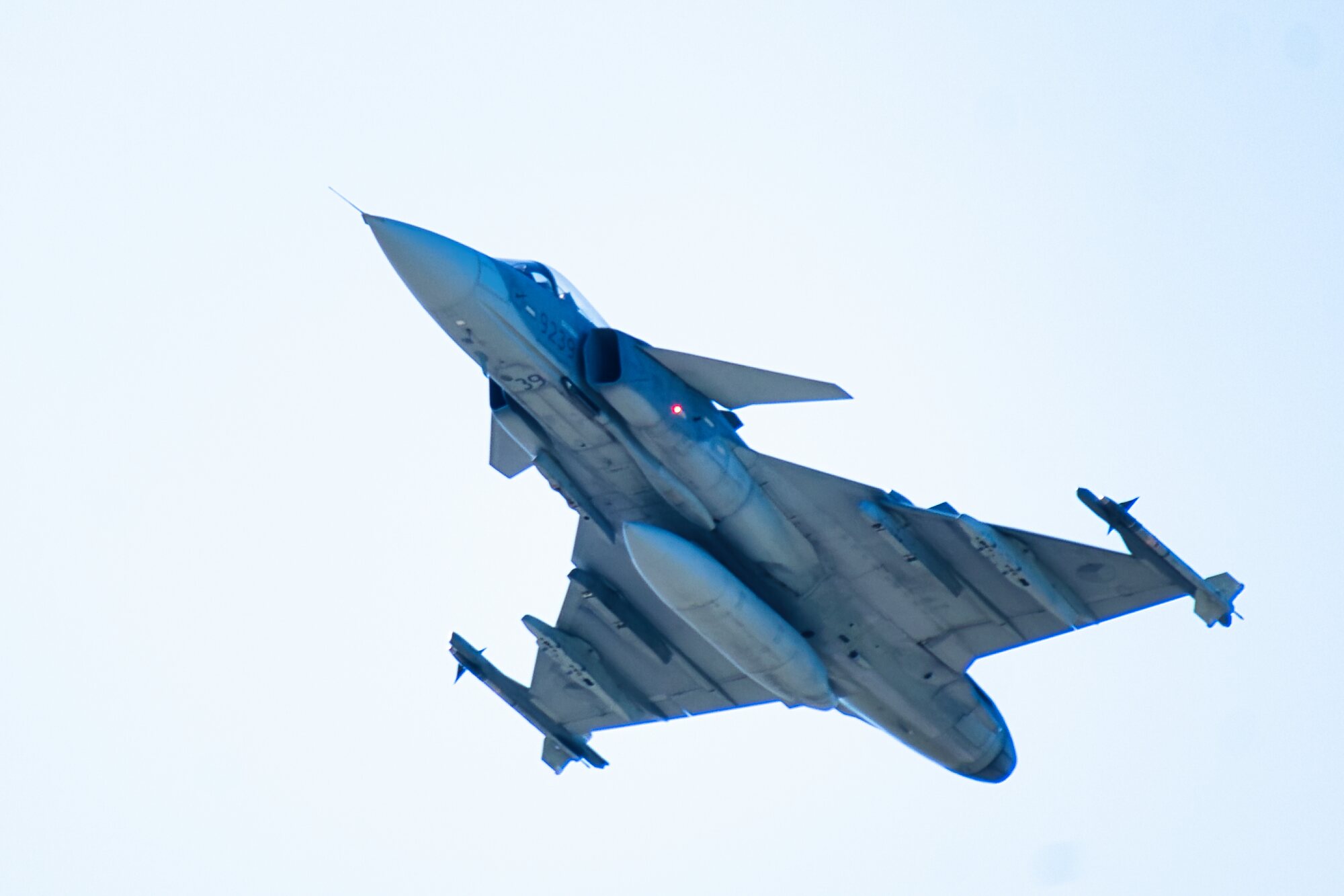 DSC_4386.jpg
