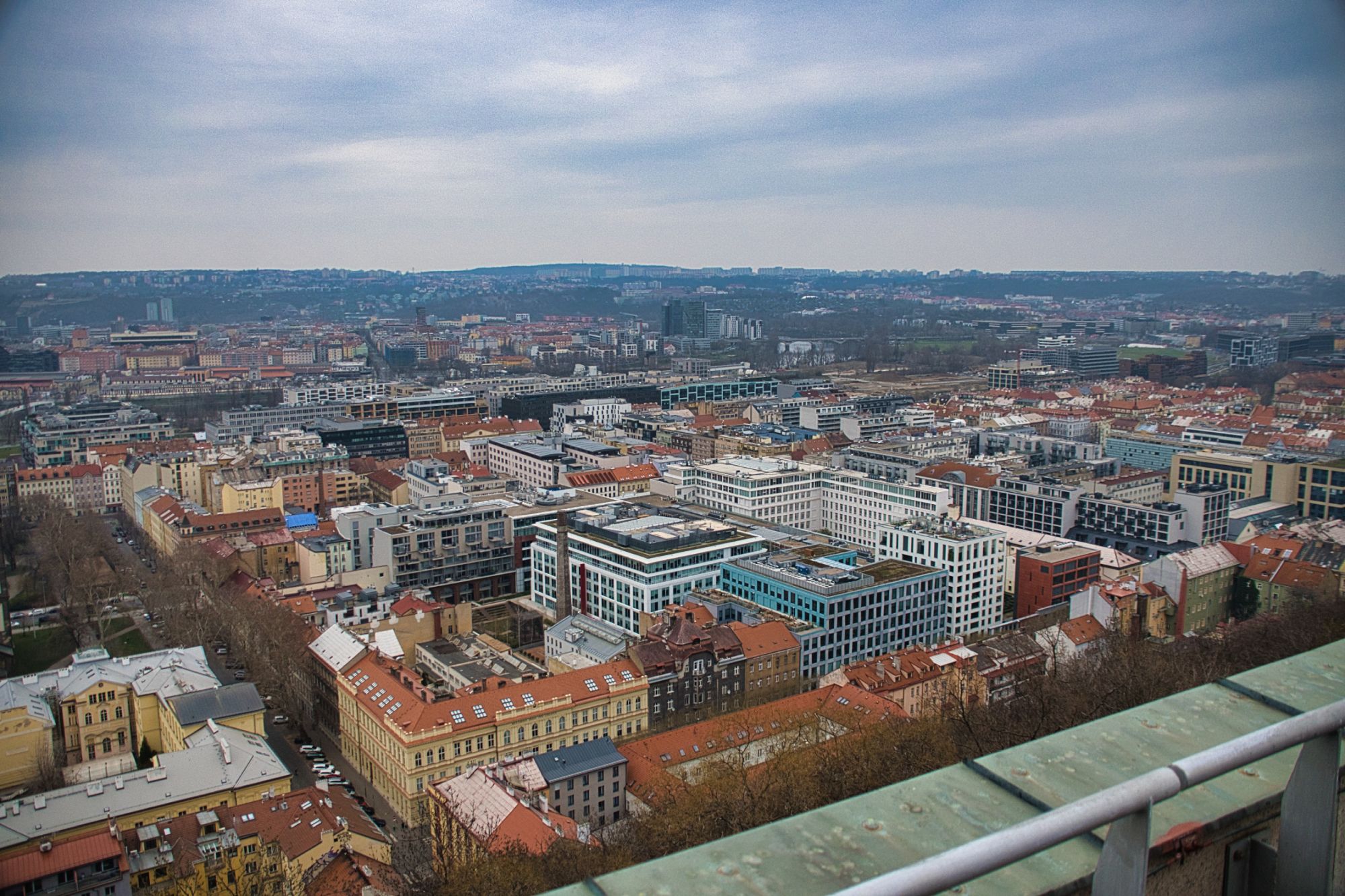 DSC_0019.jpg