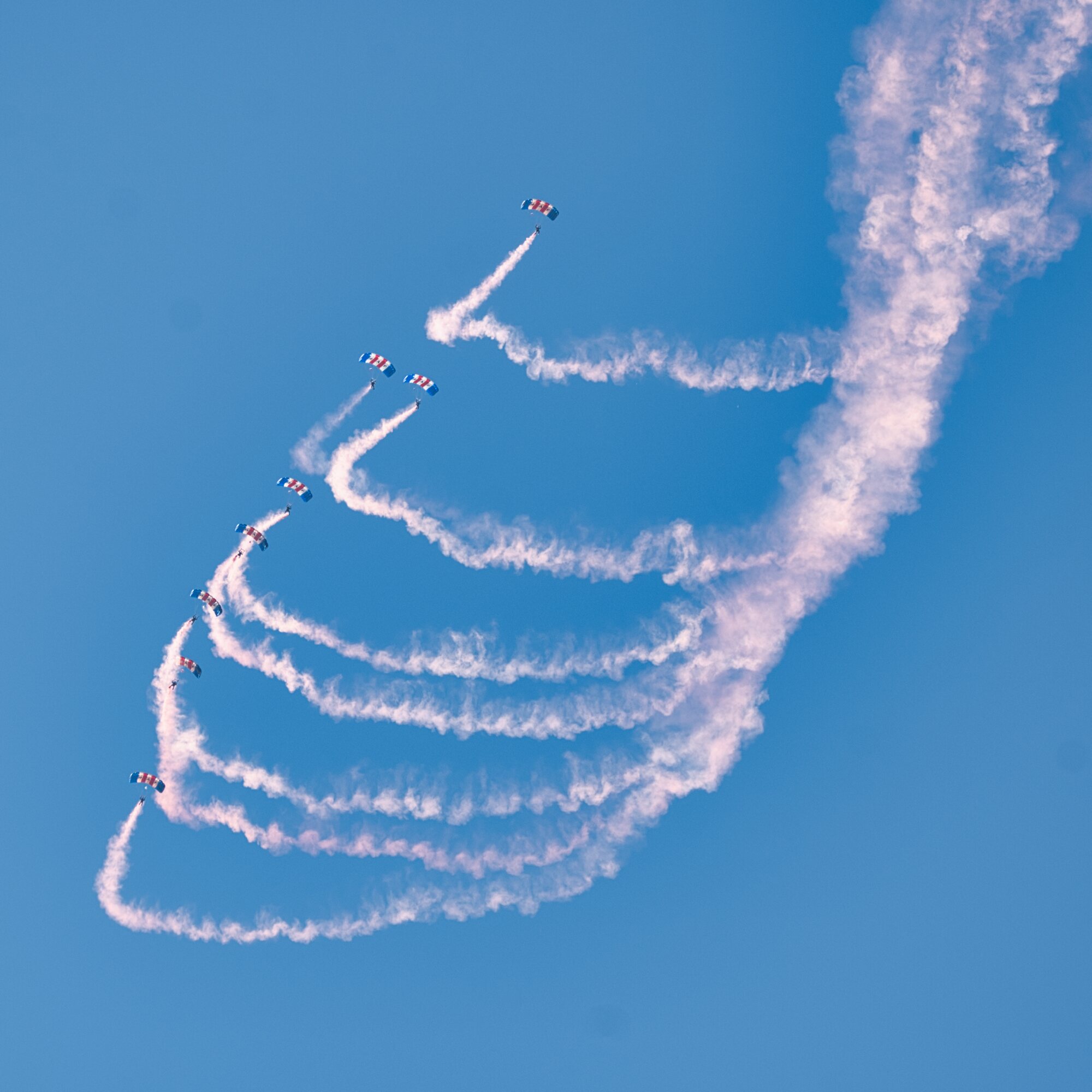 DSC_4478.jpg
